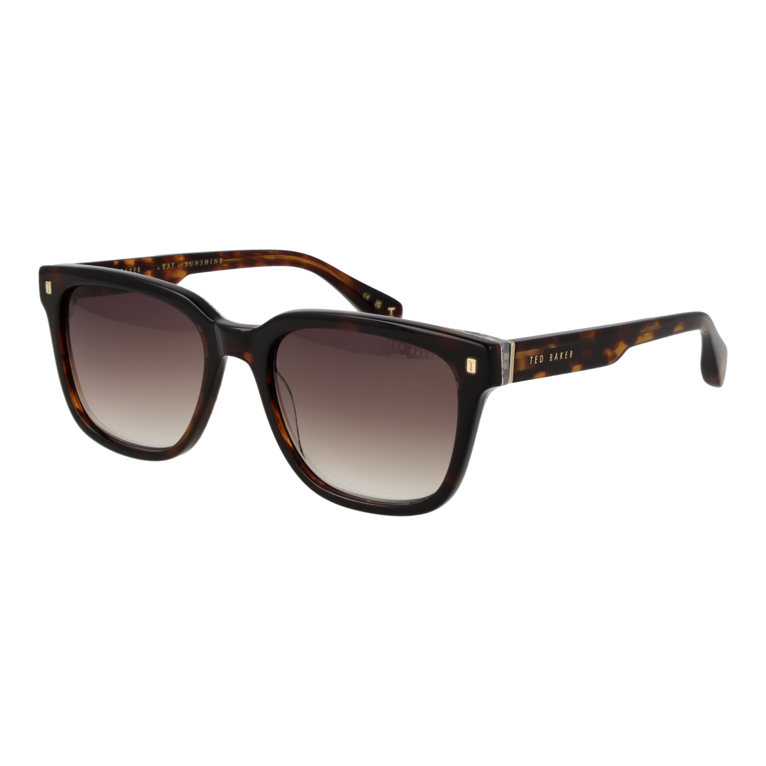 Ted Baker TB1754 54119 sunglasses side view