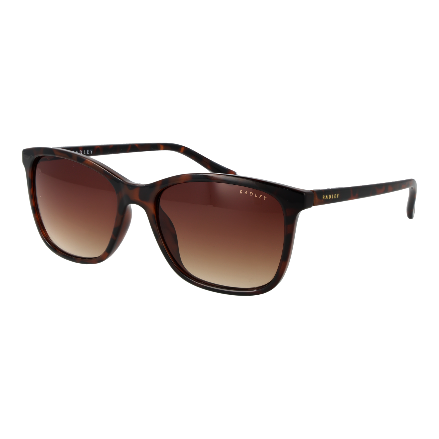 Radley RDS-6563 55102 sunglasses side view