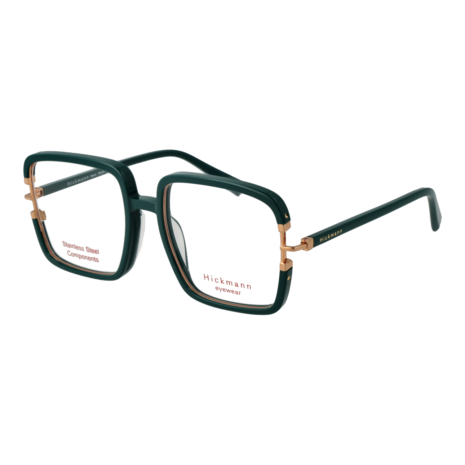 Ana Hickmann HI6268 57D01 optical frames side view