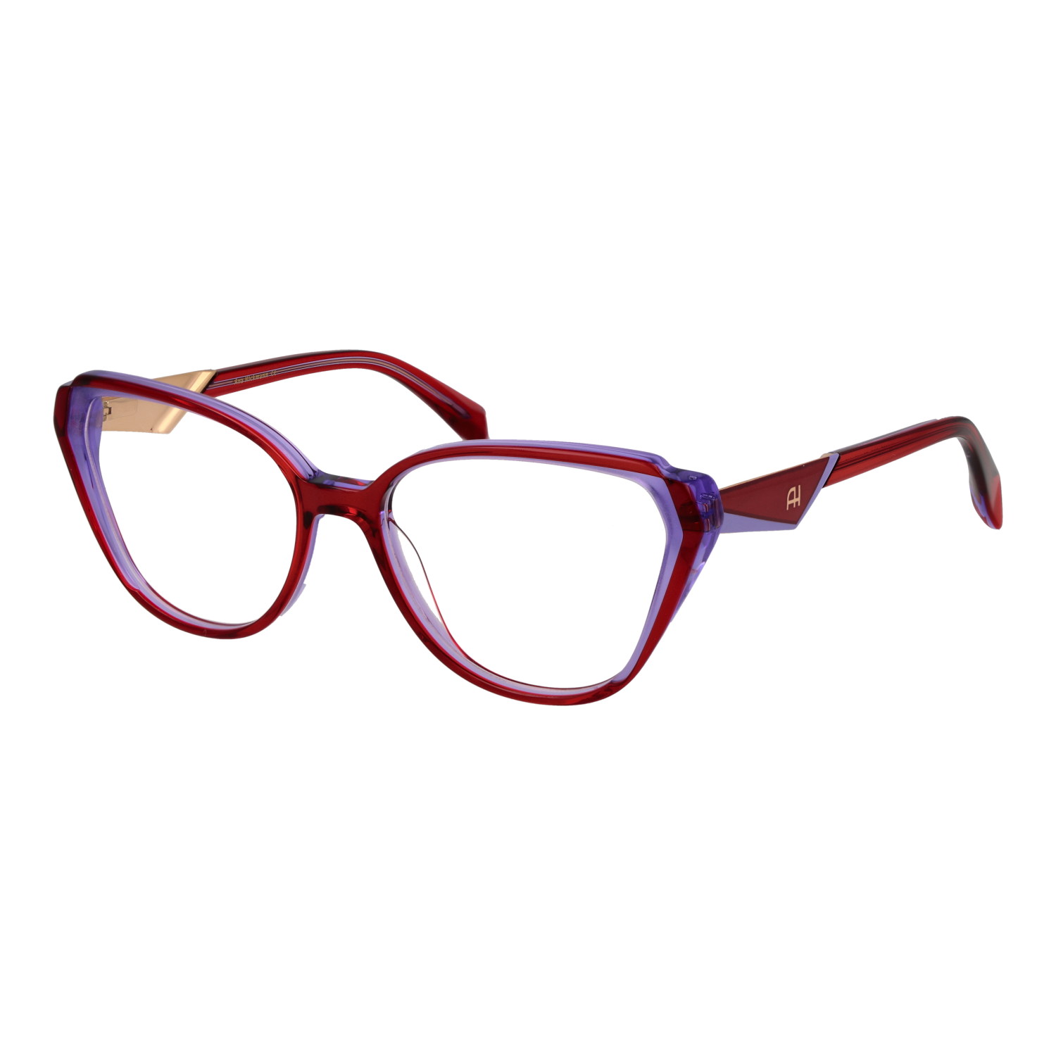 Ana Hickmann AH6537 54H02 optical frames side view