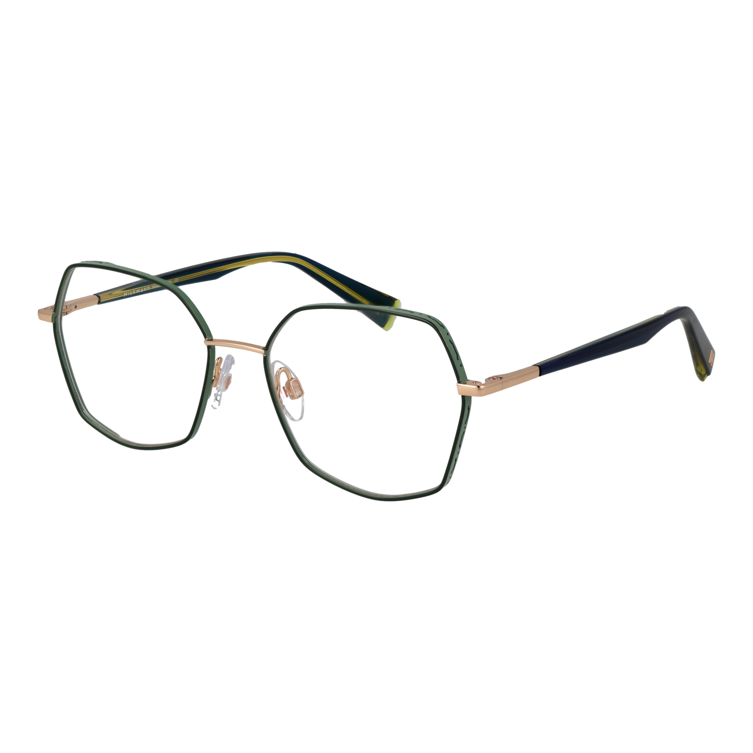 Ana Hickmann HI1229 5212A optical frames side view