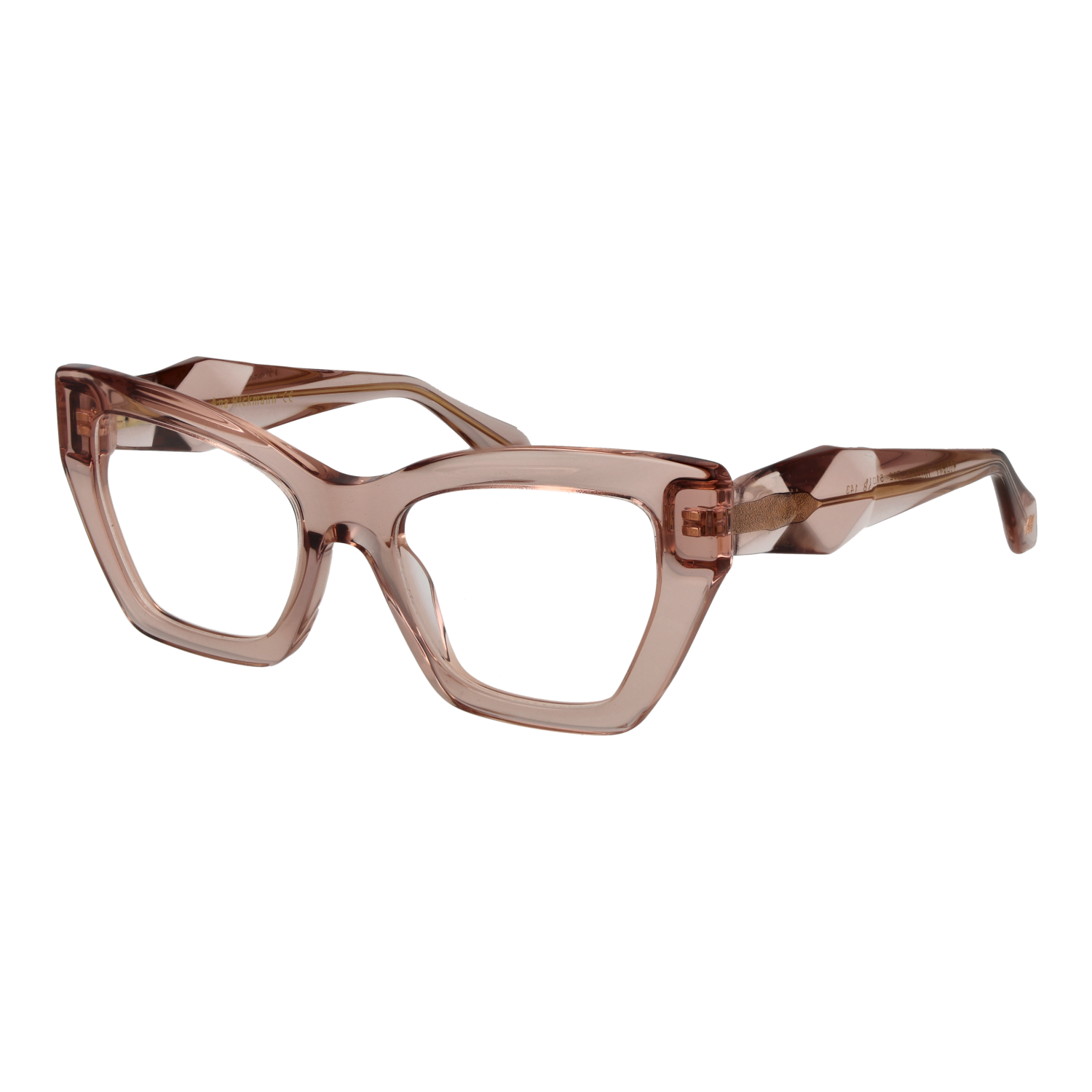 Ana Hickmann AH6525 51T02 optical frames side view