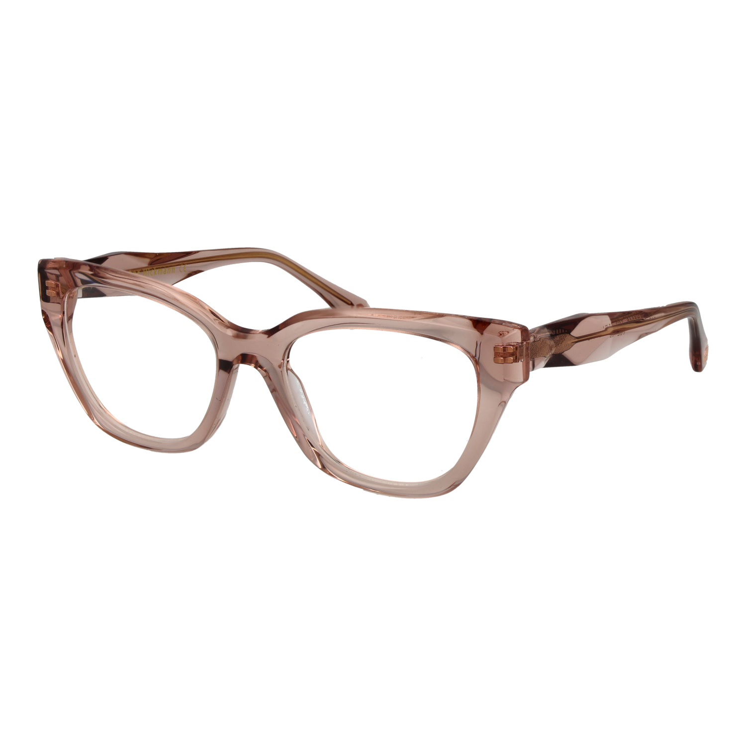 Ana Hickmann AH6546 52T02 optical frames side view