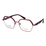 Ana Hickmann HI1245 55T01 optical frames side view