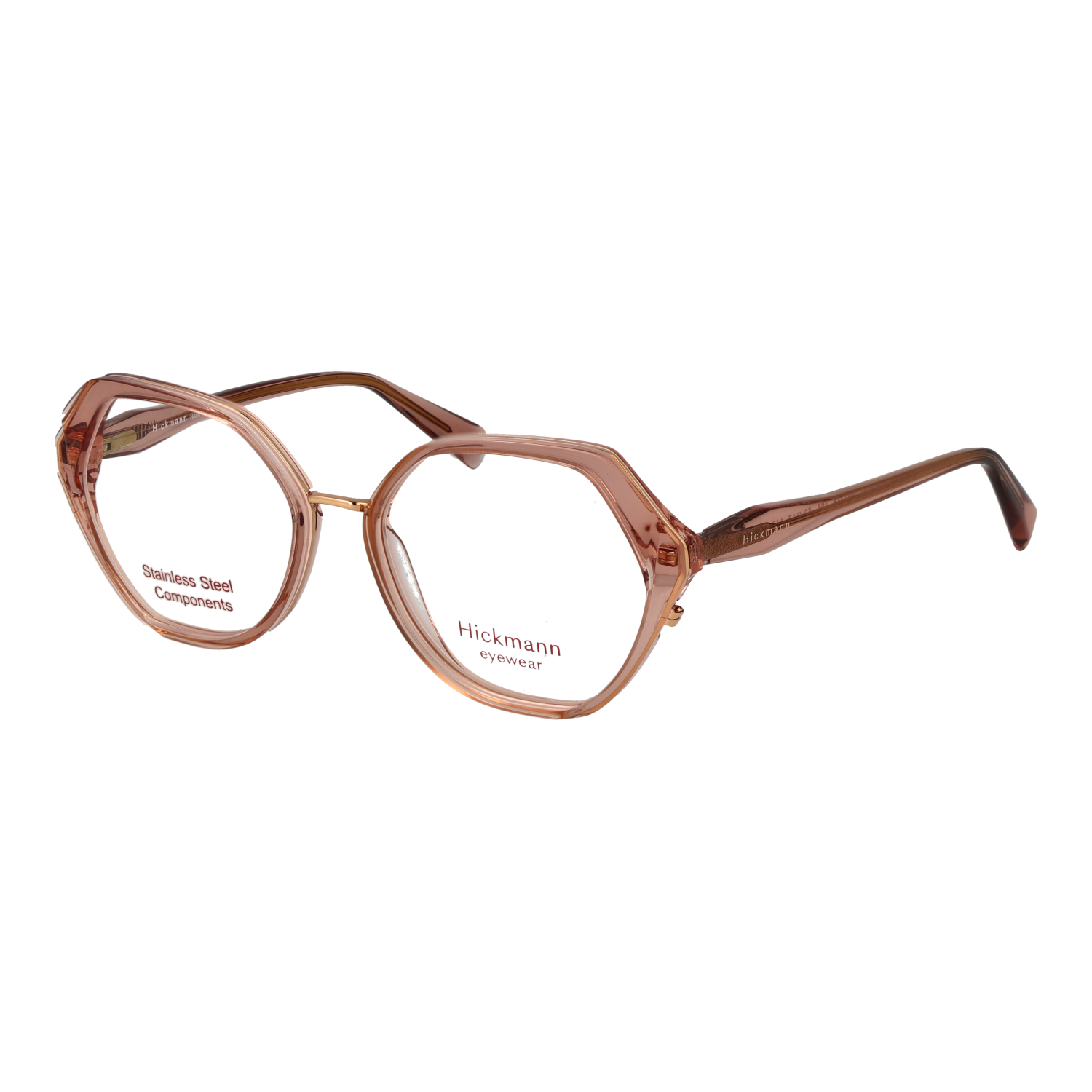 Ana Hickmann HI1248 53T01 optical frames side view