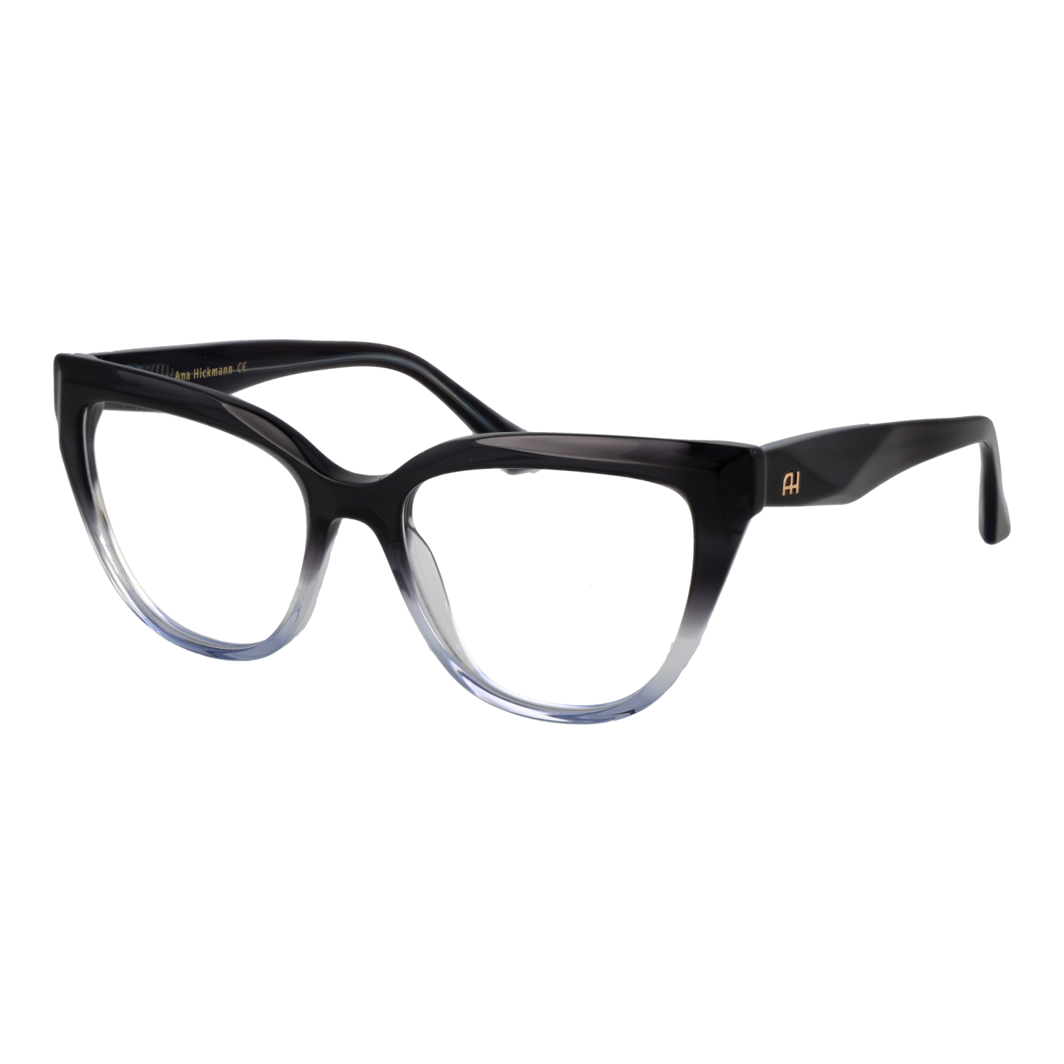 Ana Hickmann AH6549 52C02 optical frames side view