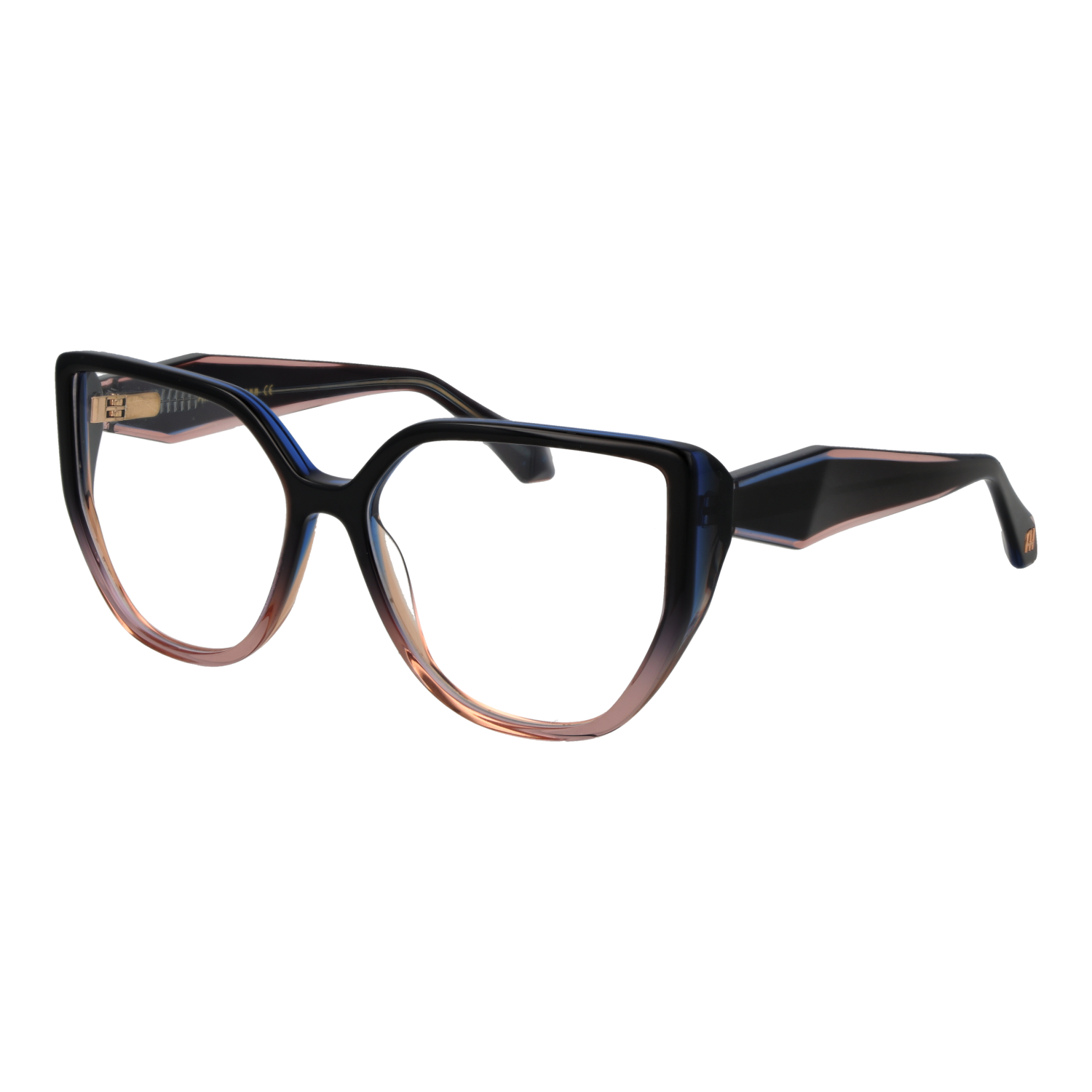 Ana Hickmann AH6558 55C01 optical frames side view