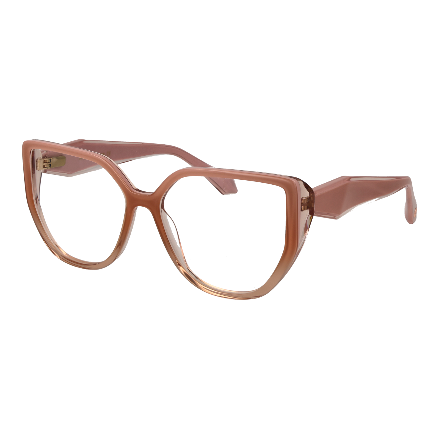 Ana Hickmann AH6558 55C02 optical frames side view