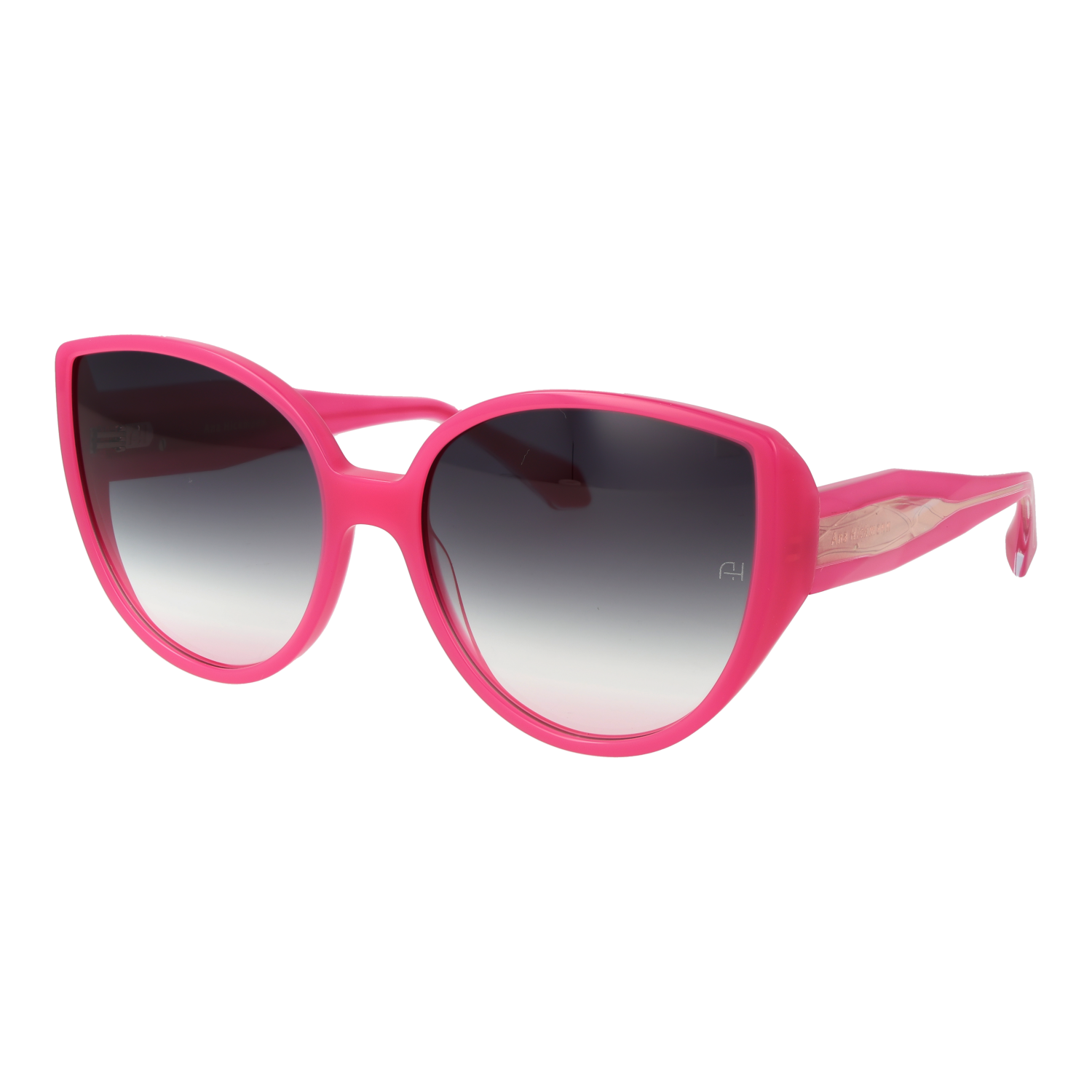 Ana Hickmann AH9429 62T02 optical frames side view