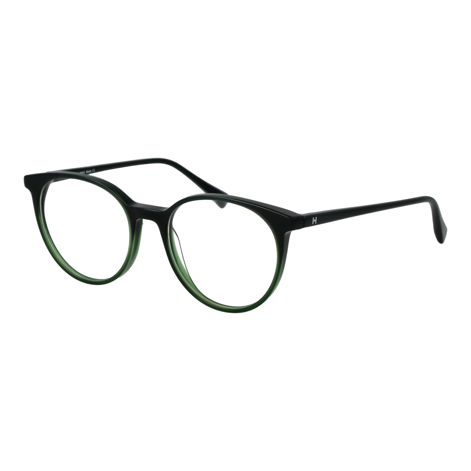 Ana Hickmann HI6313 50C01 optical frames side view