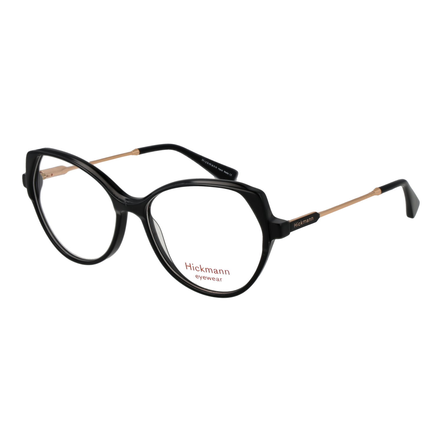 Ana Hickmann HI6317 55H01 optical frames side view