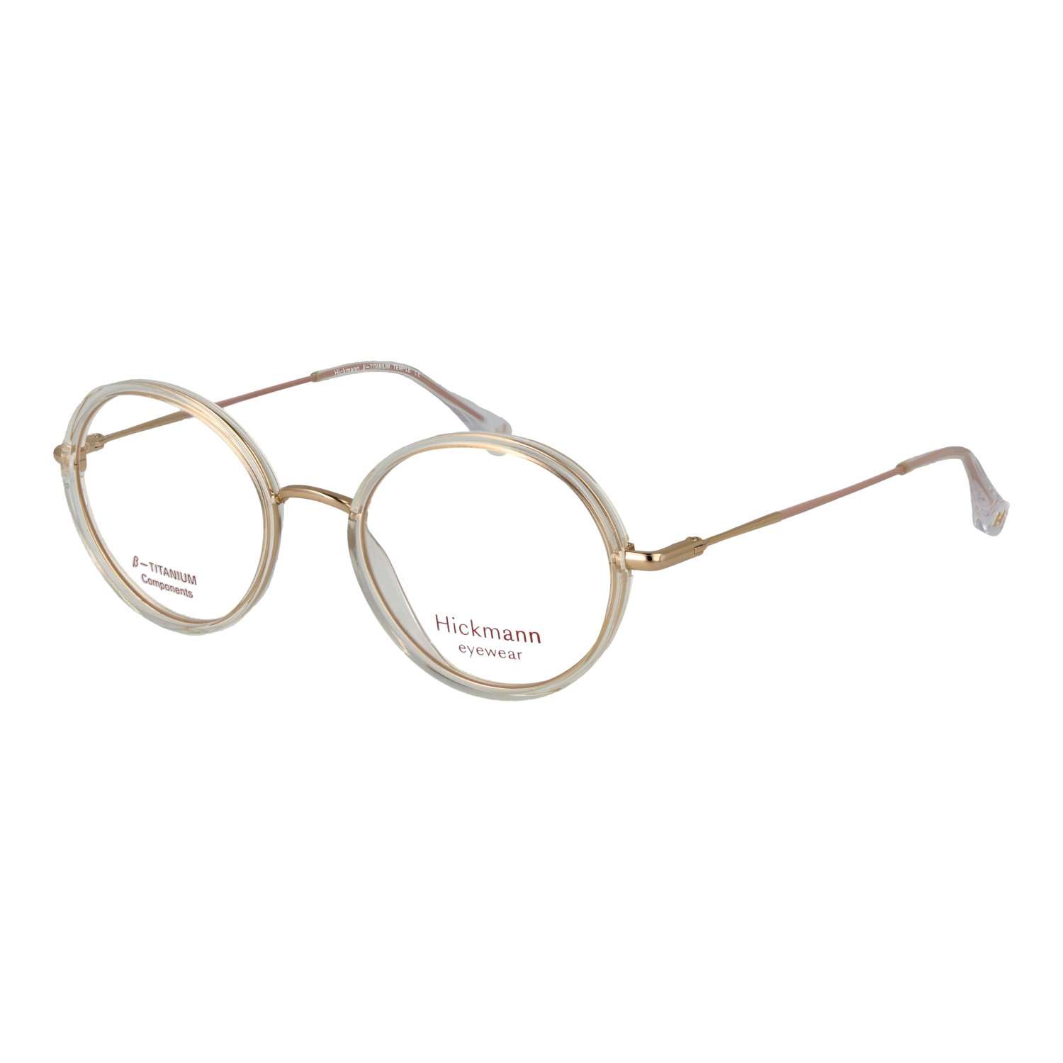 Ana Hickmann HI1257T 50T01 optical frames side view