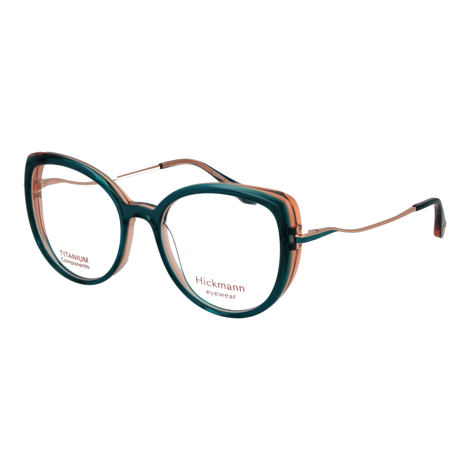 Ana Hickmann HI6334T 51H01 optical frames side view