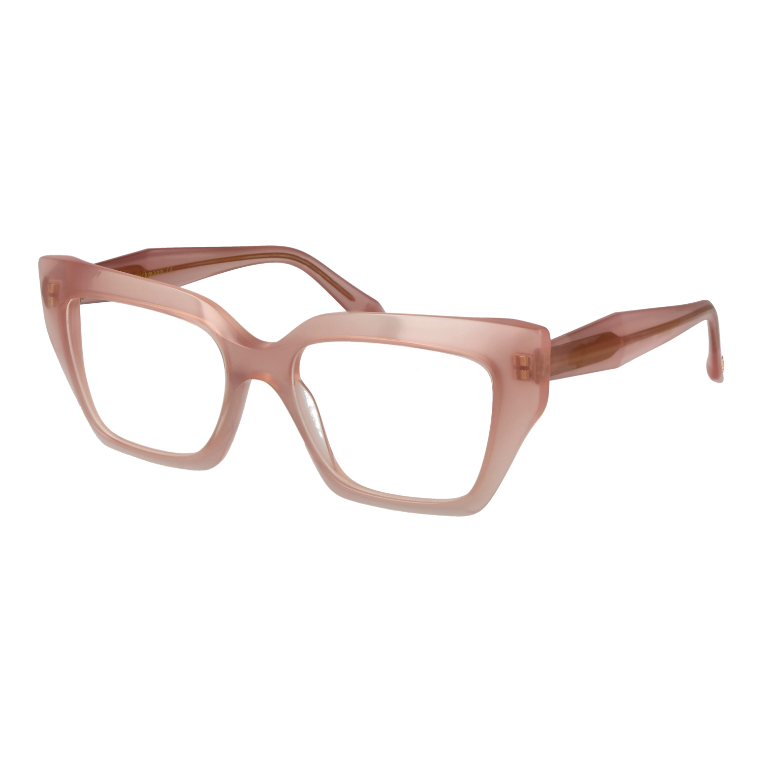 Ana Hickmann AH6587 53T01 optical frames side view