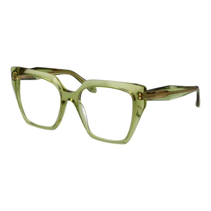 Ana Hickmann AH6588 55T01 optical frames side view