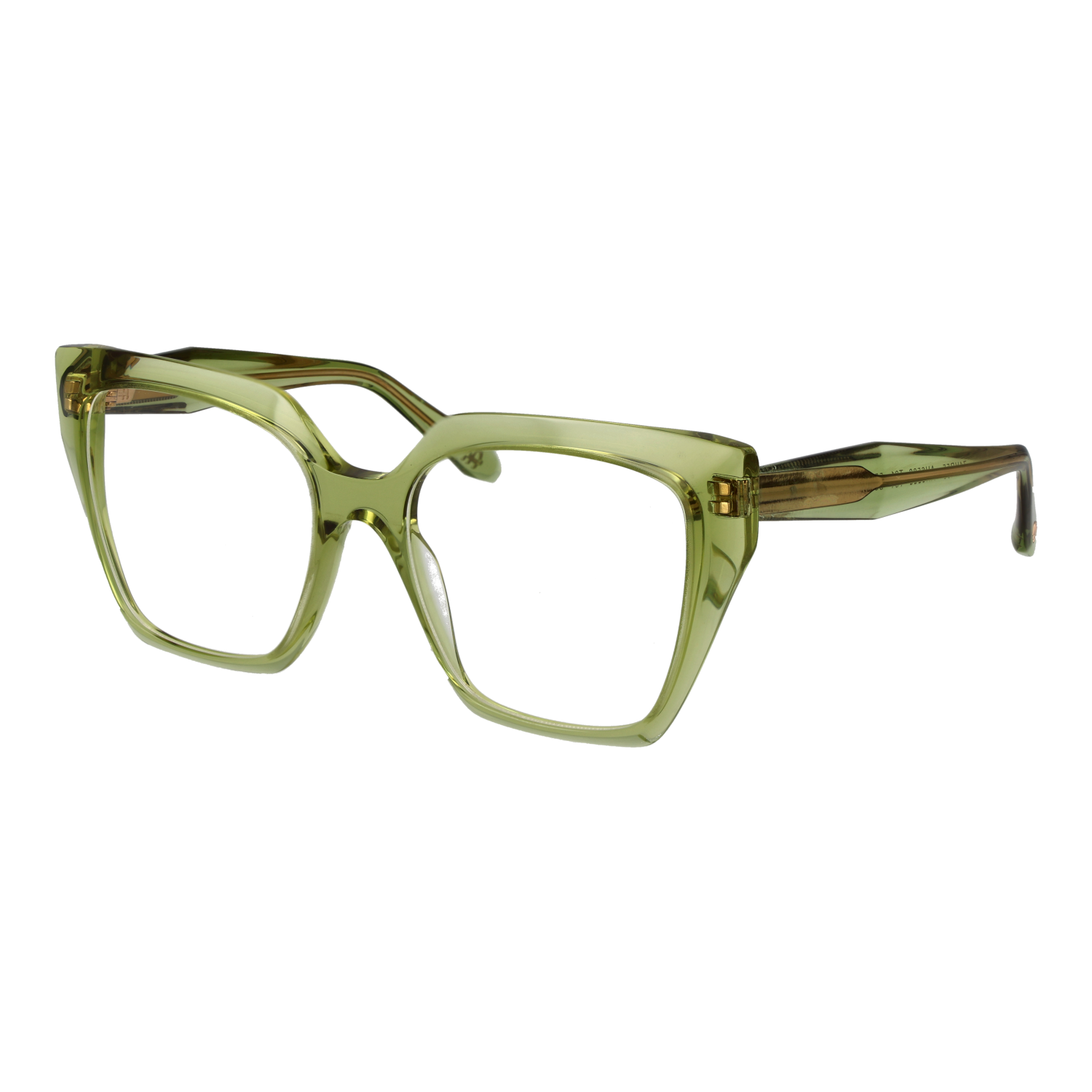 Ana Hickmann AH6588 55T01 optical frames side view