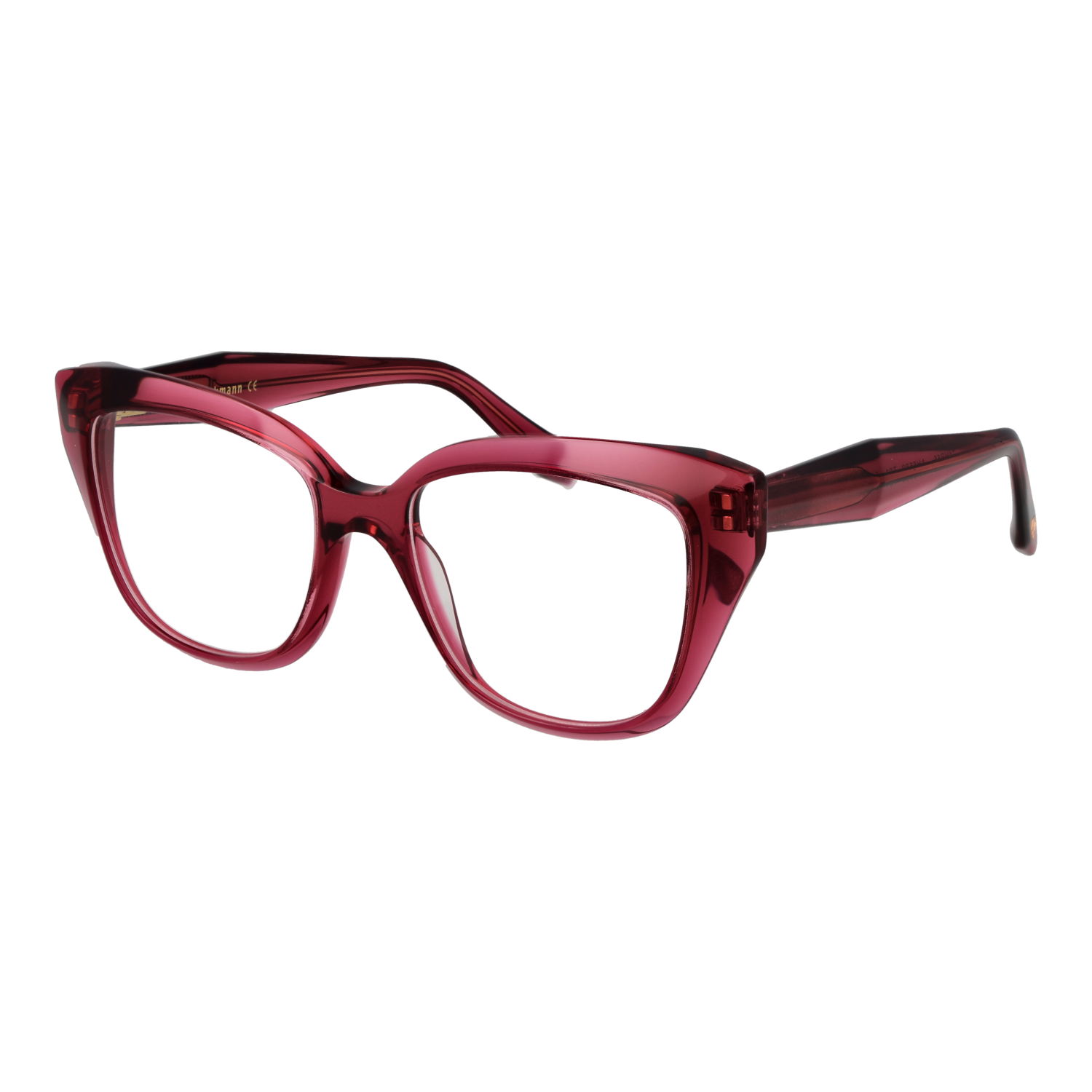 Ana Hickmann AH6589 51T01 optical frames side view