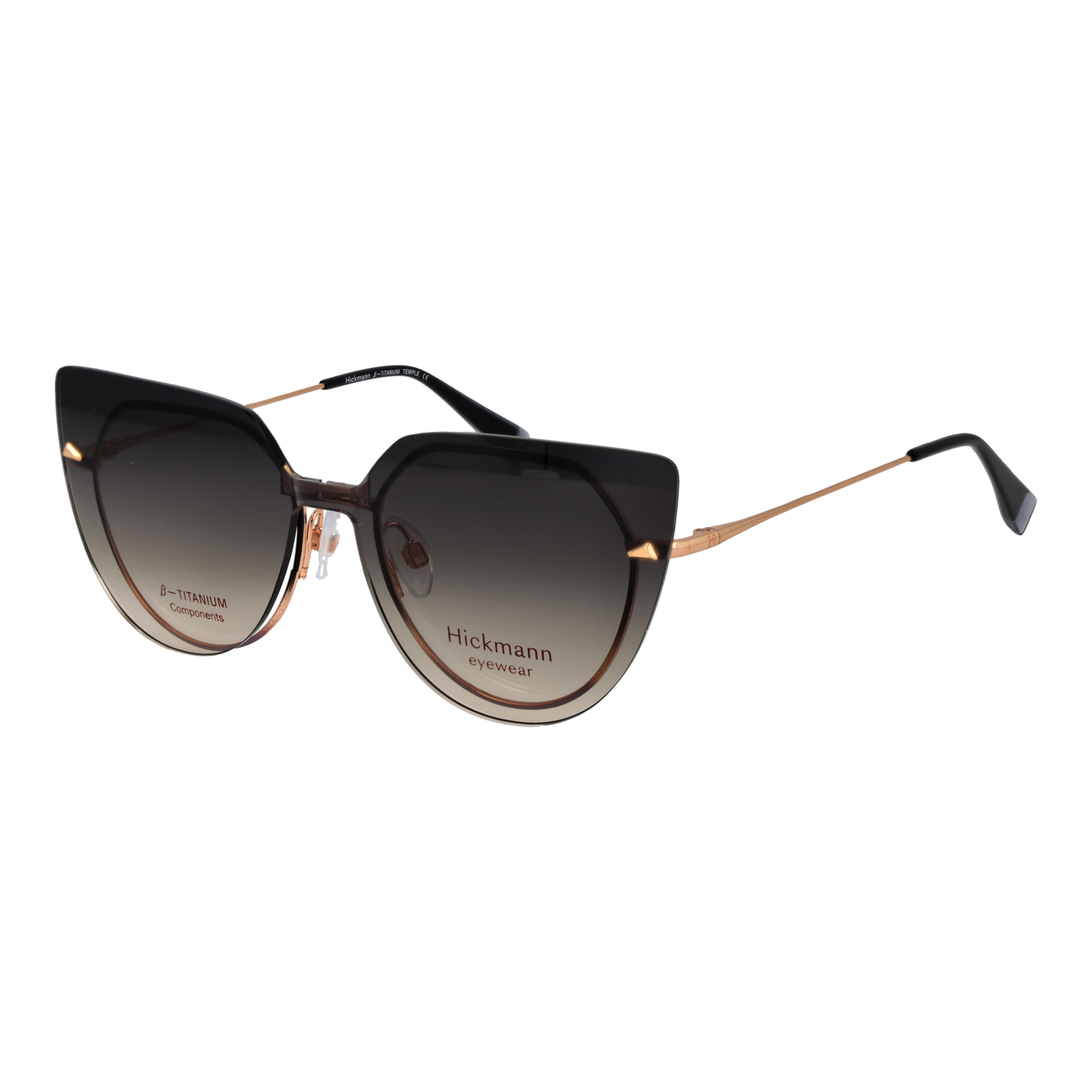Ana Hickmann HI1262GT 4909A & HI1262GT 4909AG optical frames side view