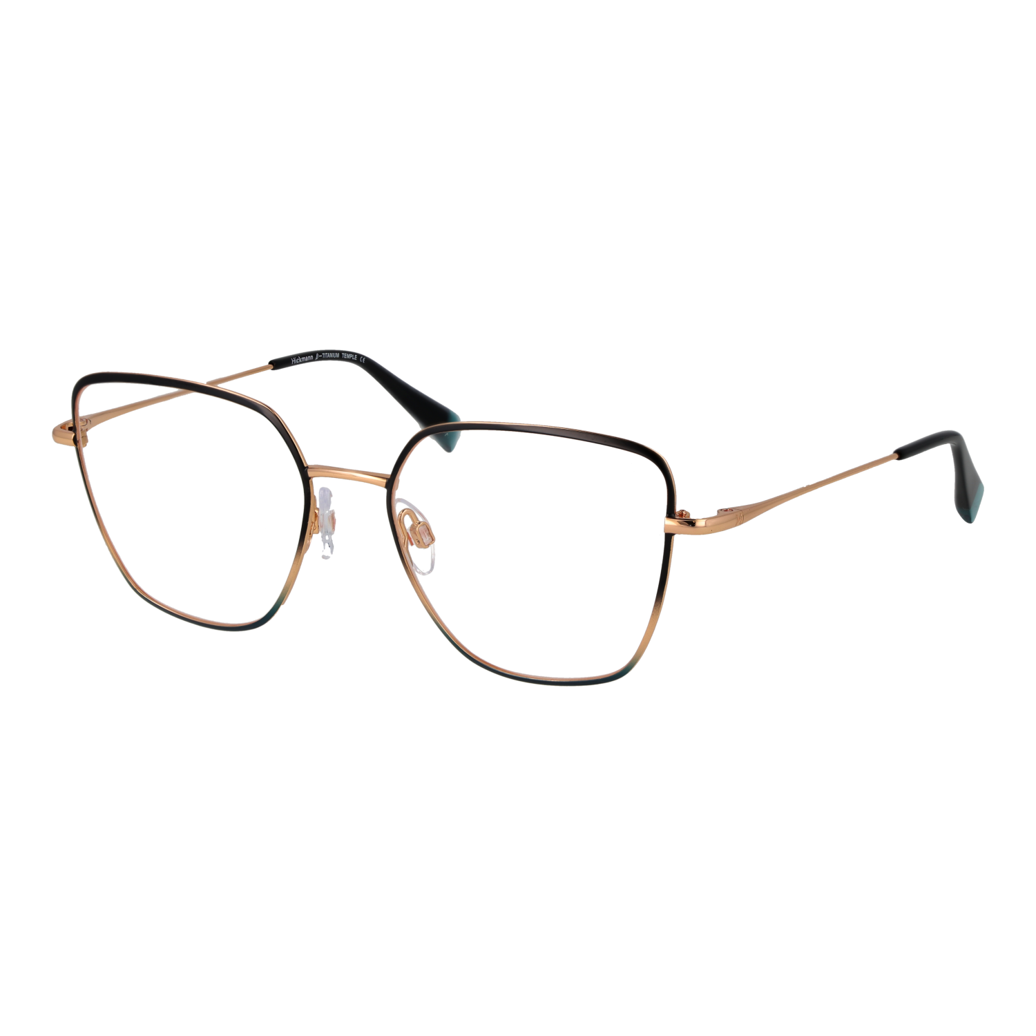 Ana Hickmann HI1263T 5305A optical frames side view