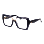 Ana Hickmann AH6593 55T01 optical frames side view