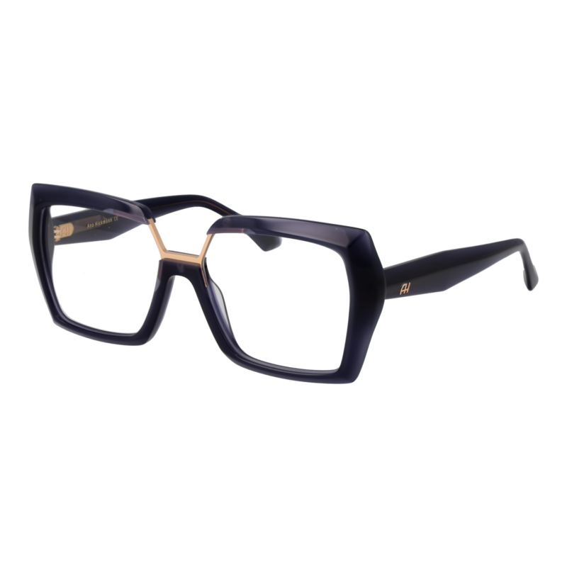 Ana Hickmann AH6593 55T01 optical frames side view
