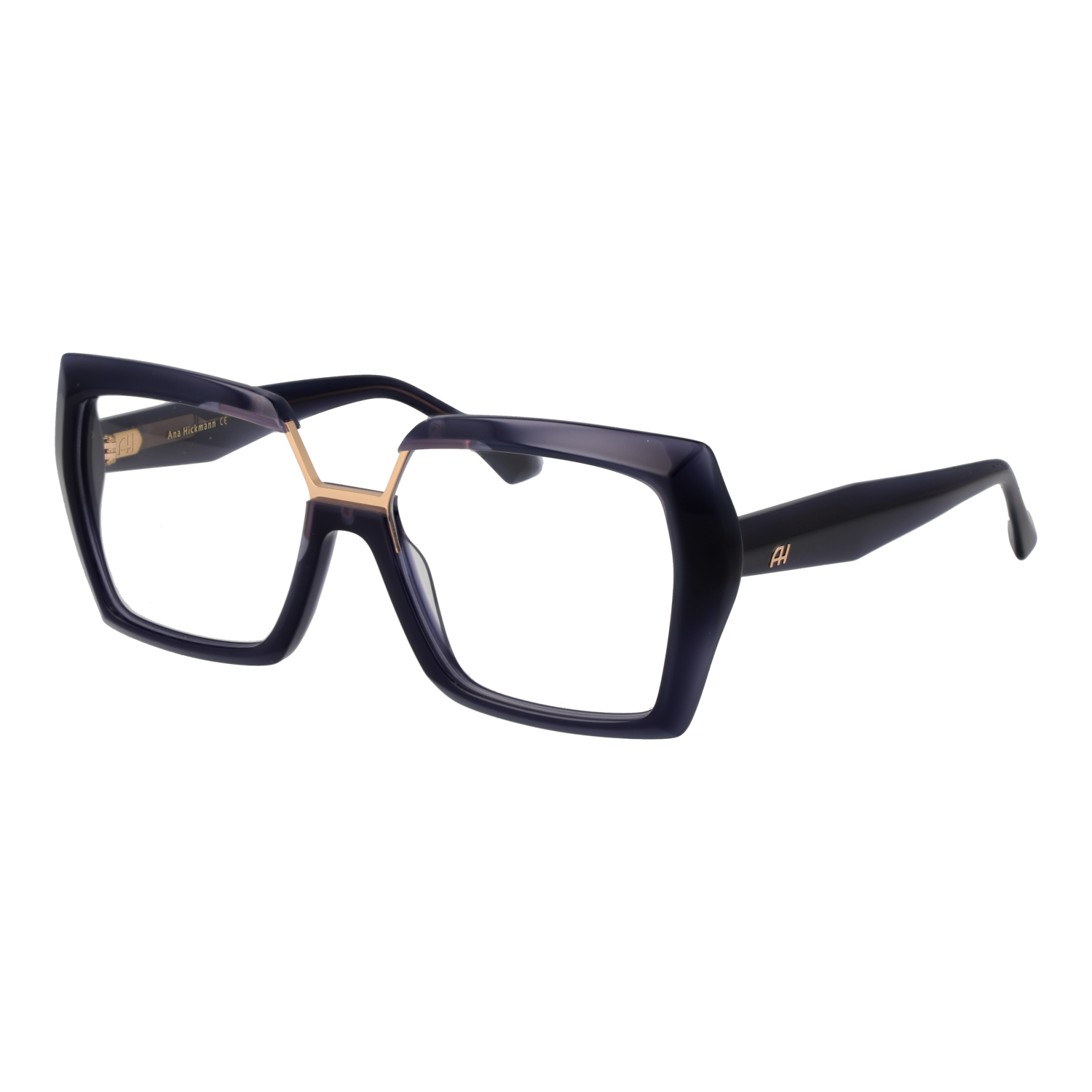 Ana Hickmann AH6593 55T01 optical frames side view