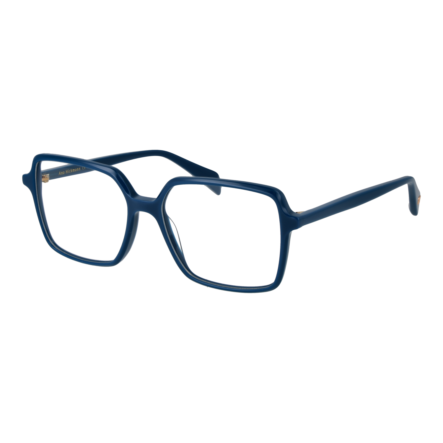 Ana Hickmann AH6613 54D01 optical frames side view