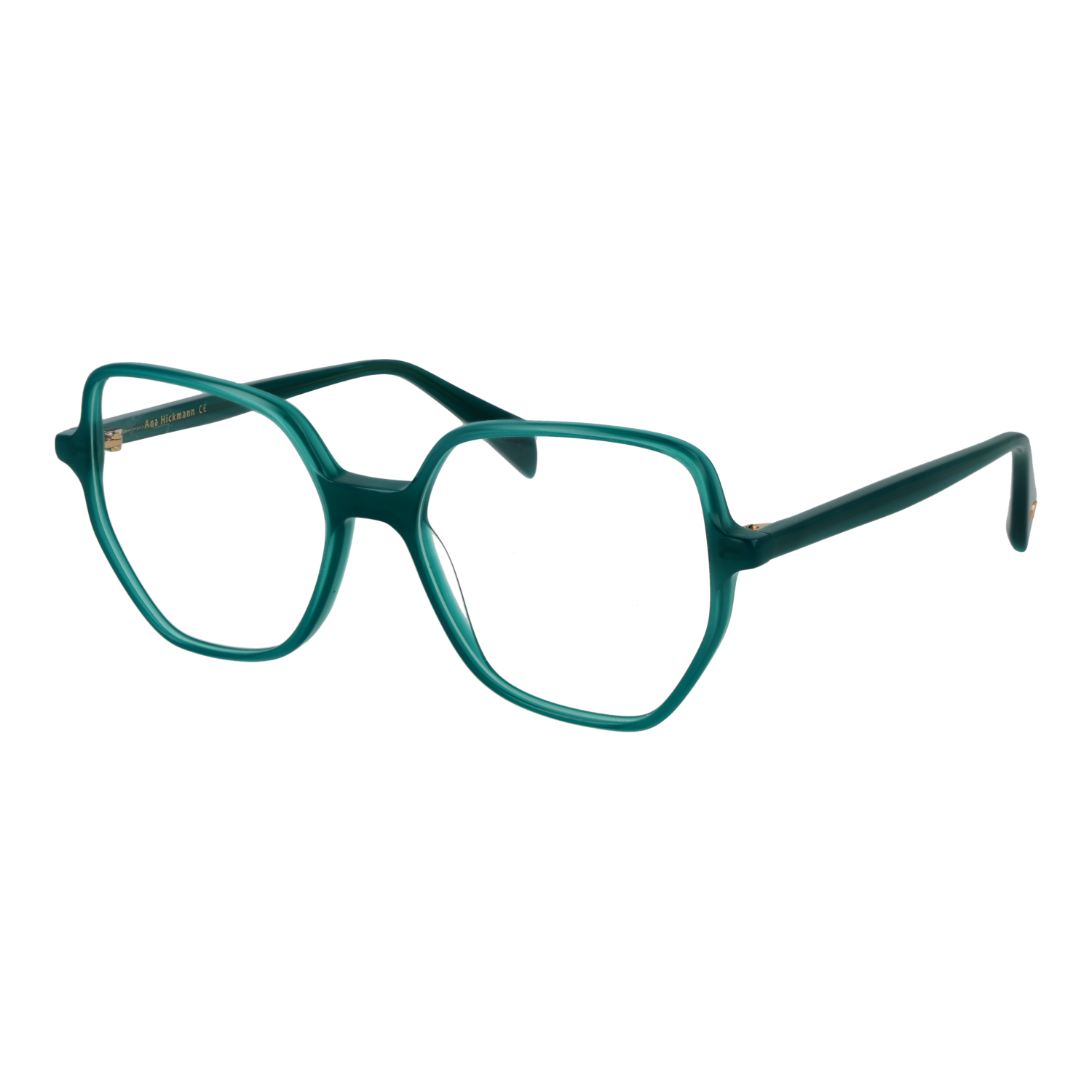 Ana Hickmann AH6614 53T01 optical frames side view