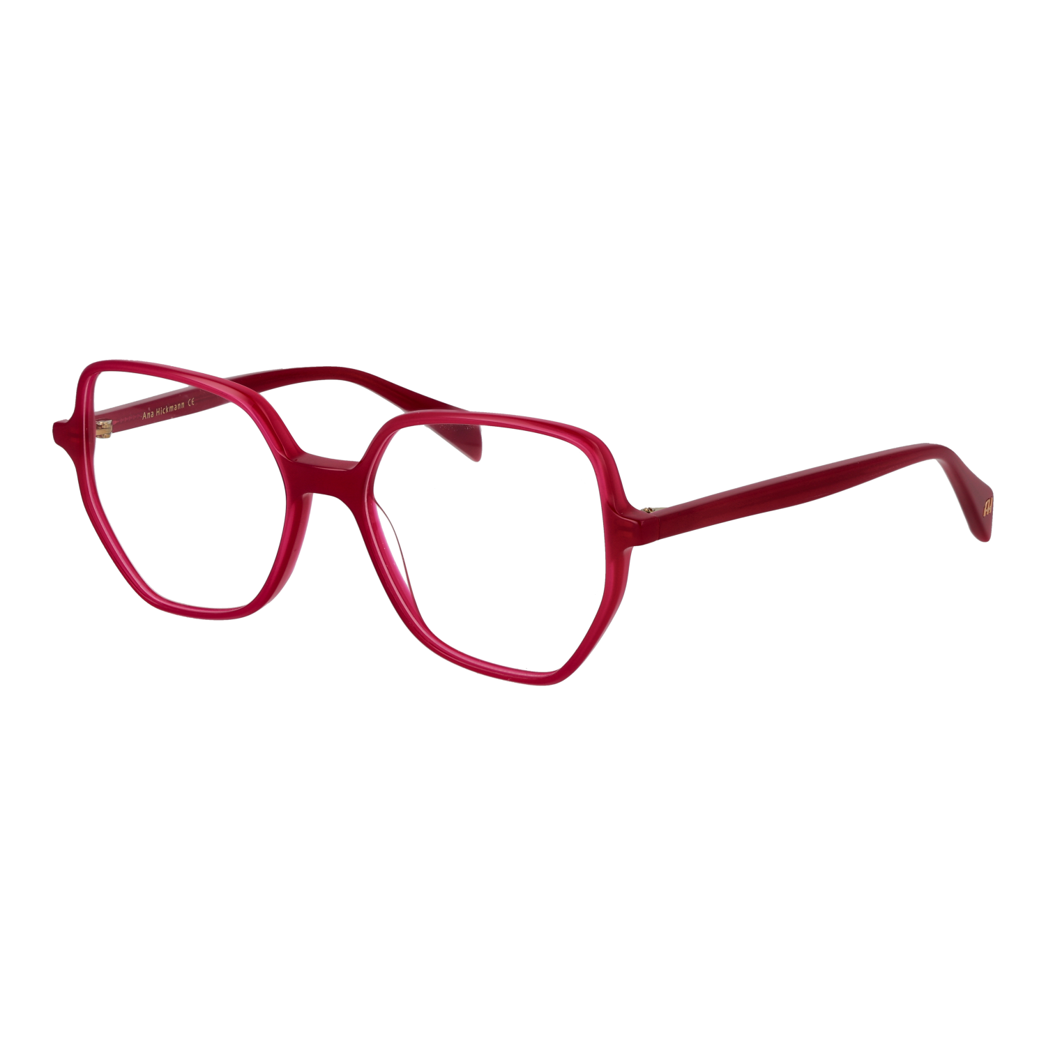 Ana Hickmann AH6614 53T02 optical frames side view