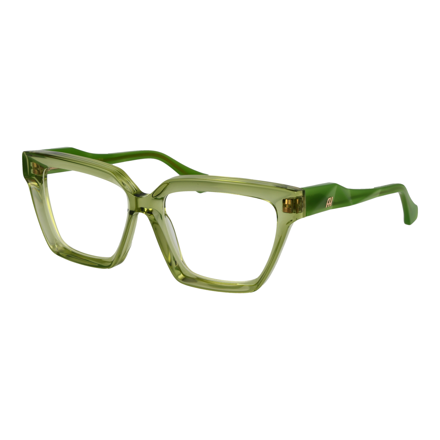 Ana Hickmann AH6596 53T01 optical frames side view