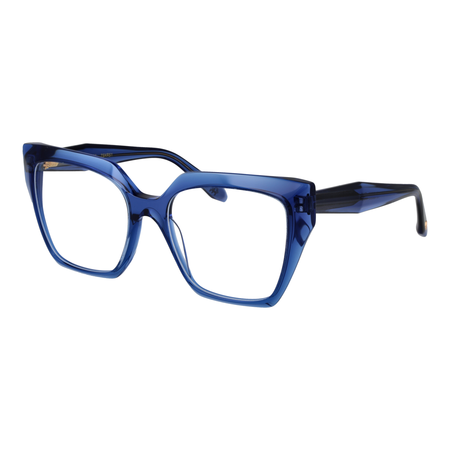 Ana Hickmann AH6588 55T02 optical frames side view