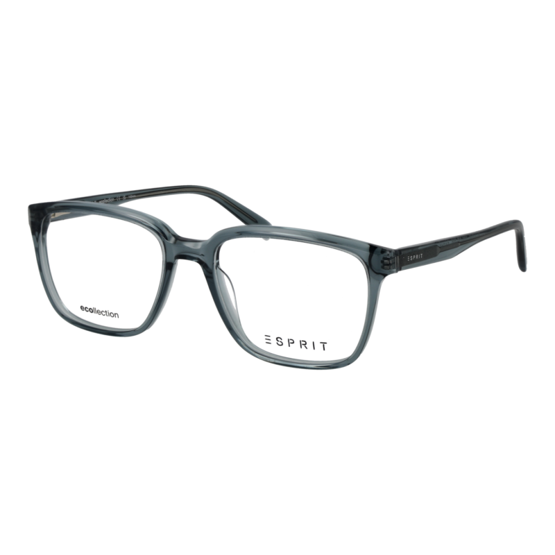 Esprit ET33494 54508 optical frames side view