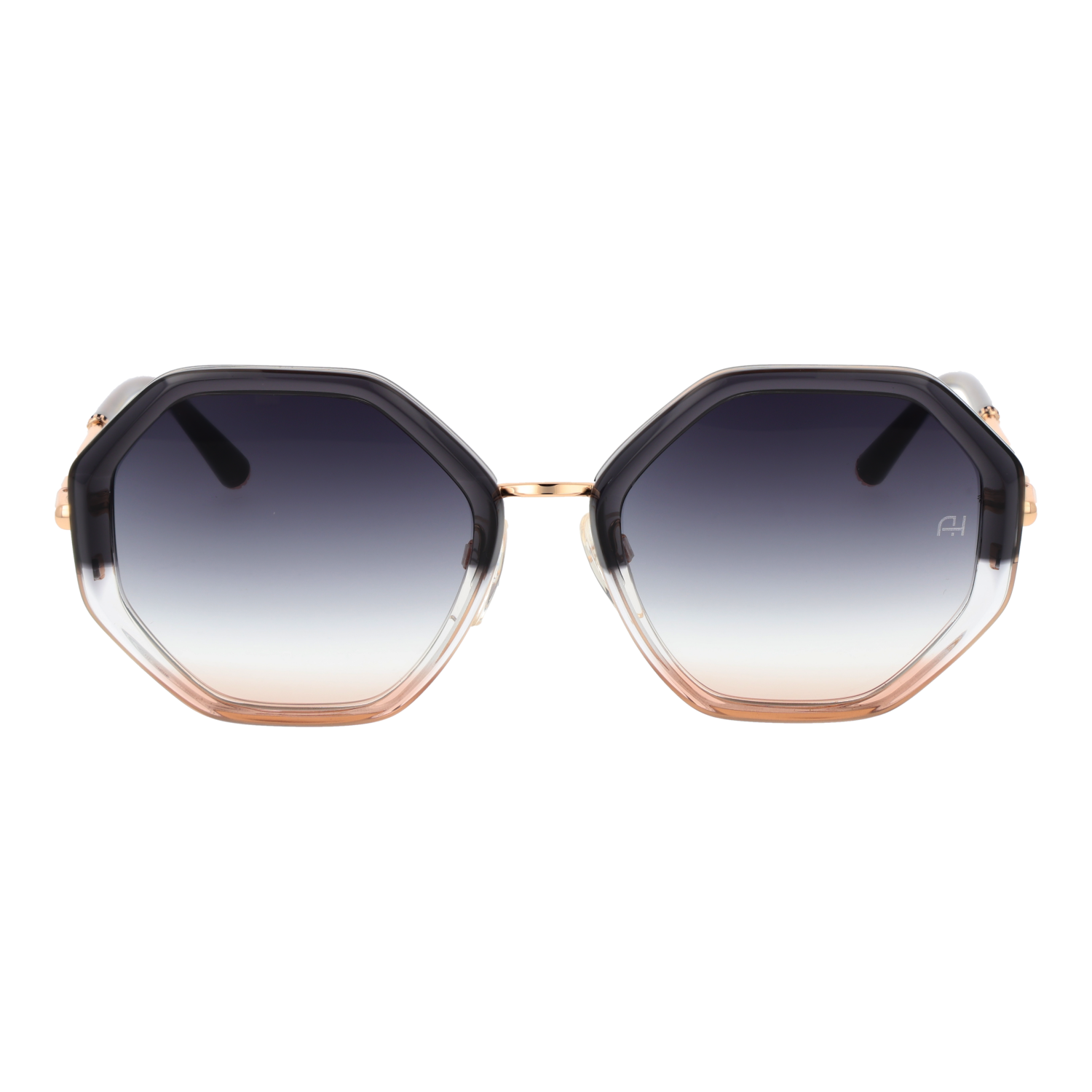 Ana Hickmann AH3292 53C01 front view with Grey lenses
