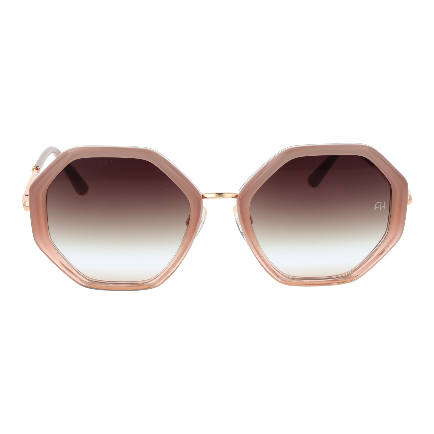 Ana Hickmann AH3292 53C02 front view with Brown lenses