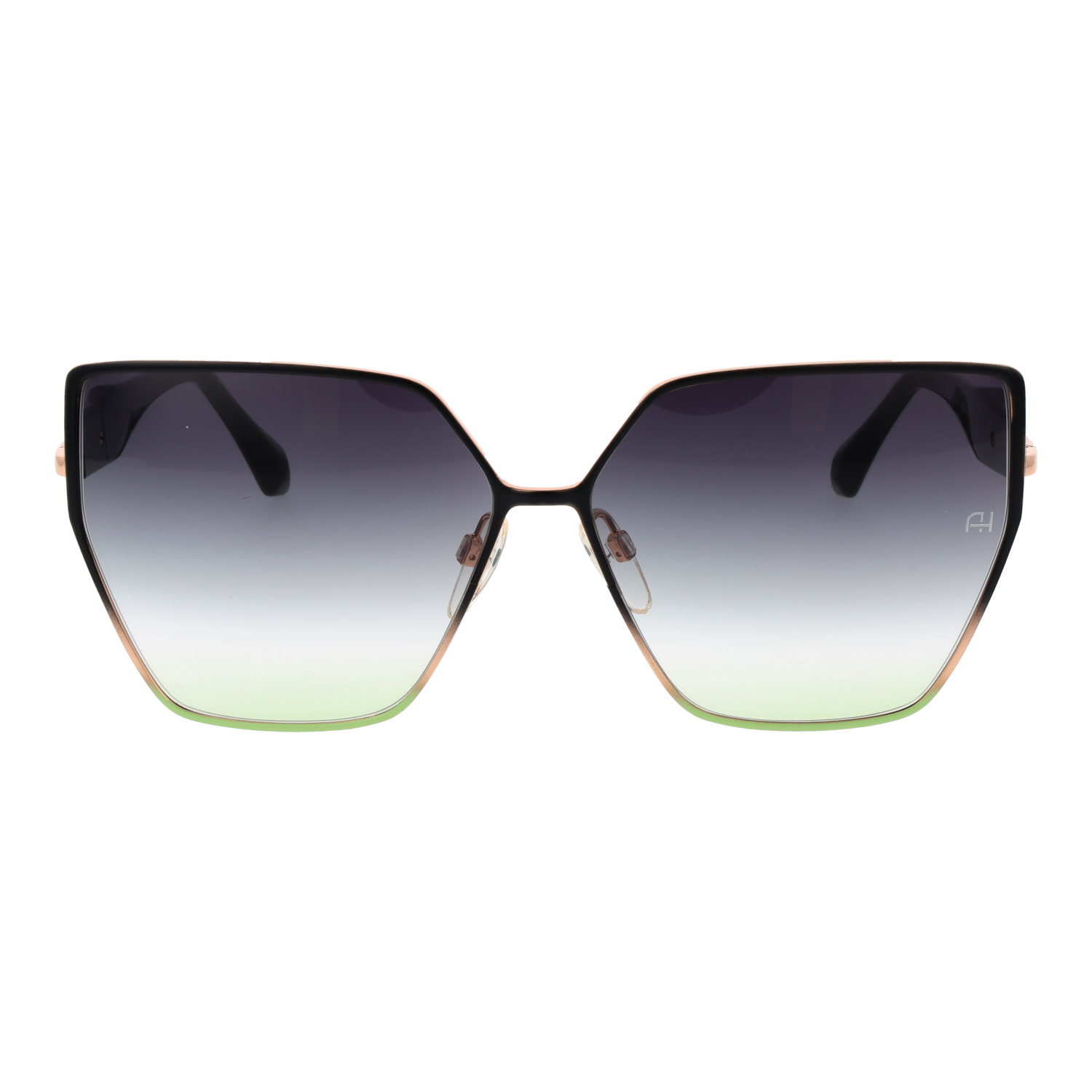 Ana Hickmann AH3293 6312A front view with Purple lenses