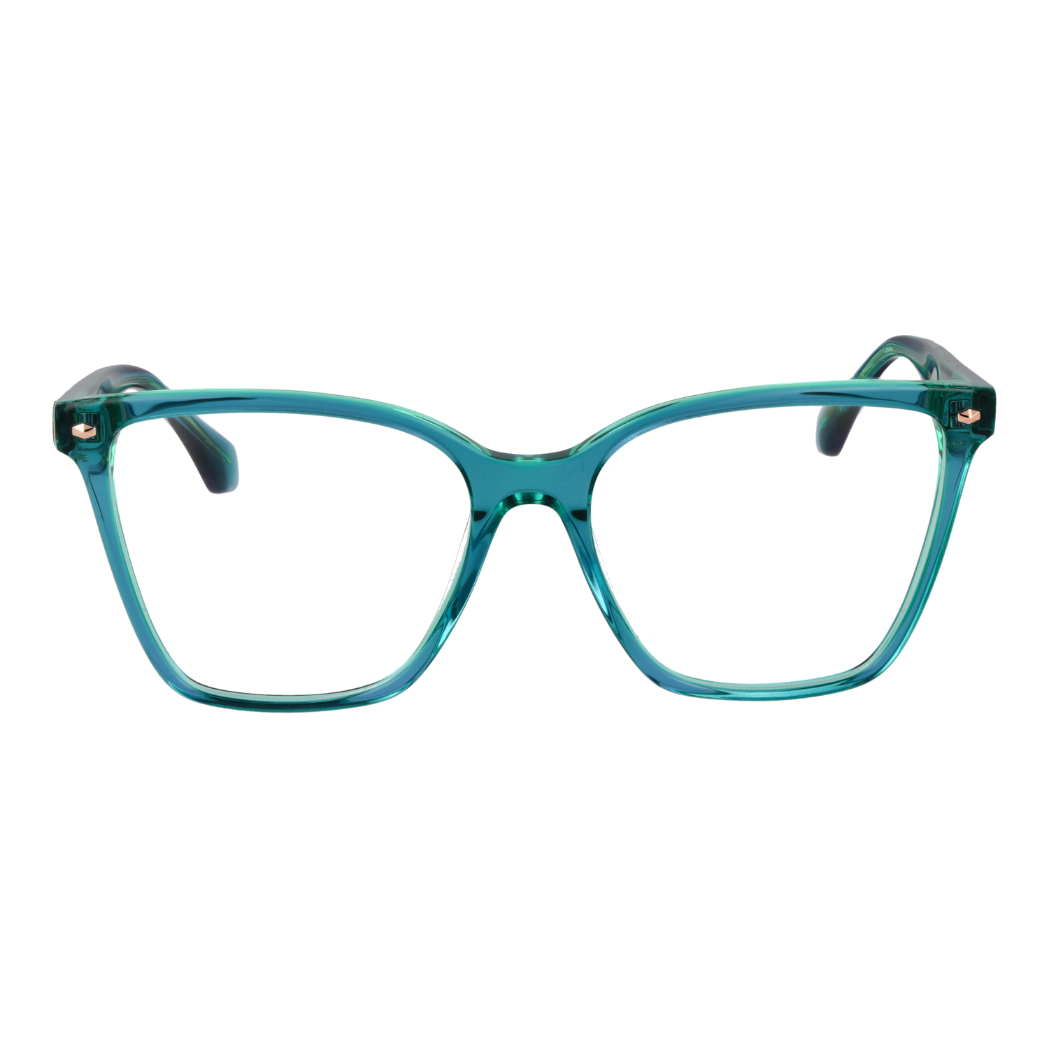 Ana Hickmann AH6510 54H02 front view – Acetate frame