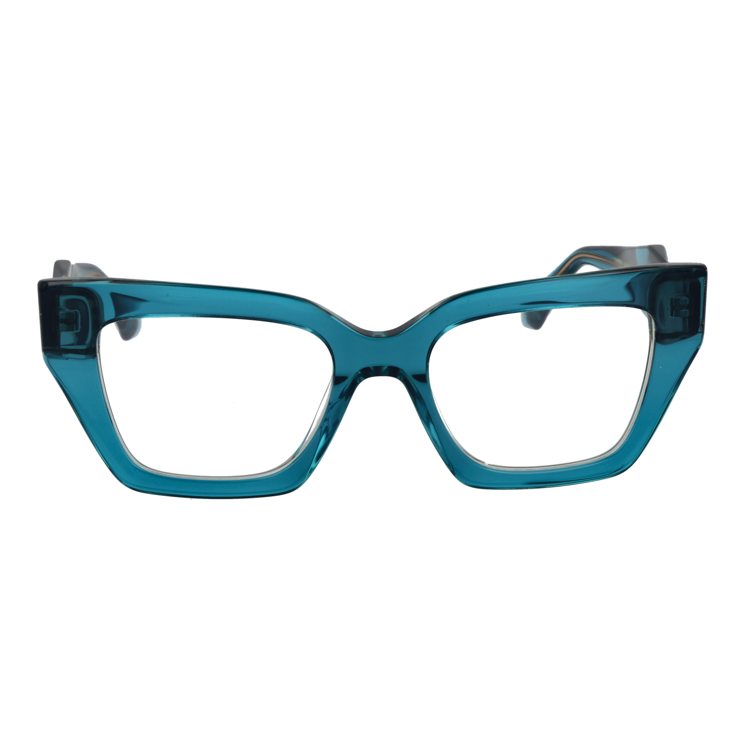 Ana Hickmann AH6524 51H01 front view – Acetate frame