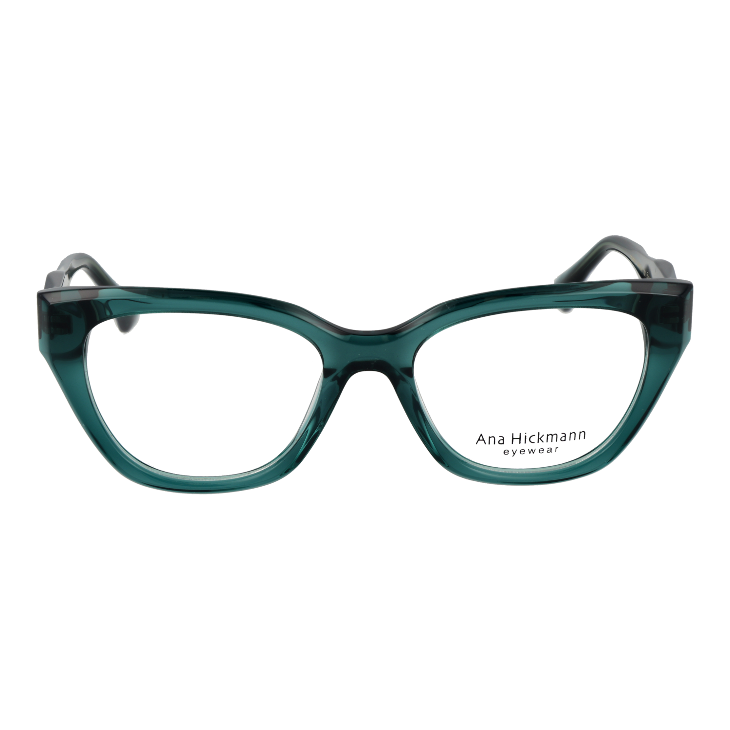 Ana Hickmann AH6546 52T01 front view – Acetate frame
