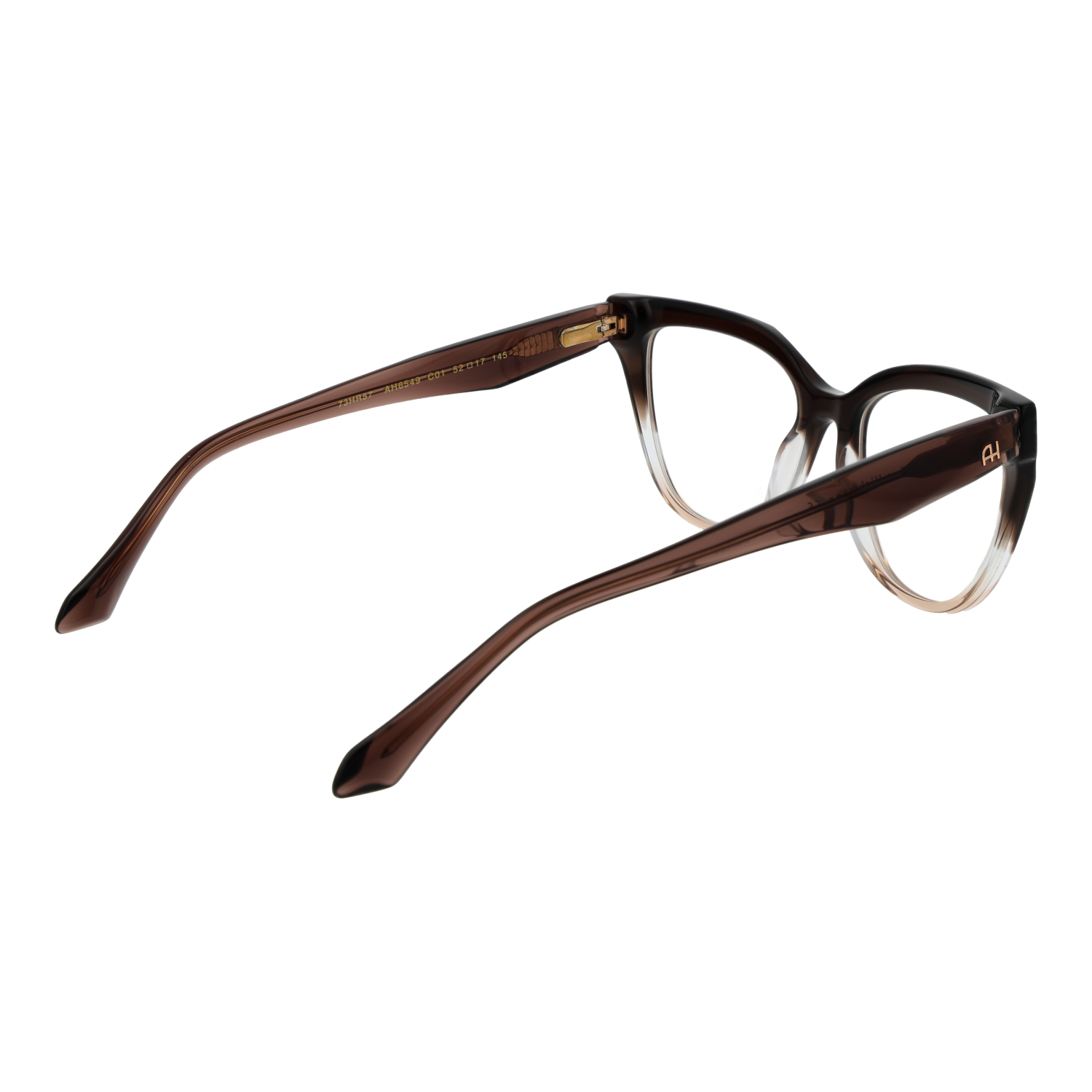 Ana Hickmann AH6549 52C01 rear view showing hinges