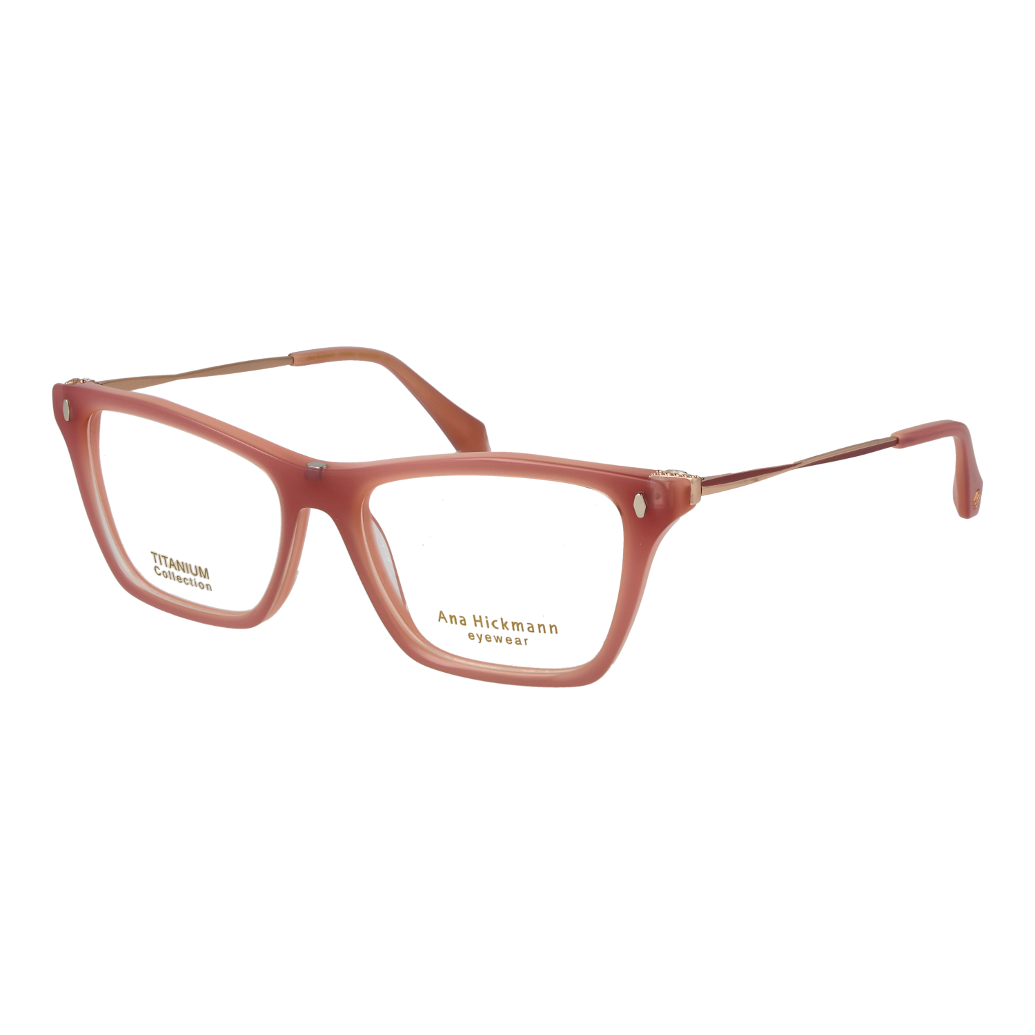 Ana Hickmann AH6565GT 54H01 & AH6565GT 54H01G worn by Women – optical frames