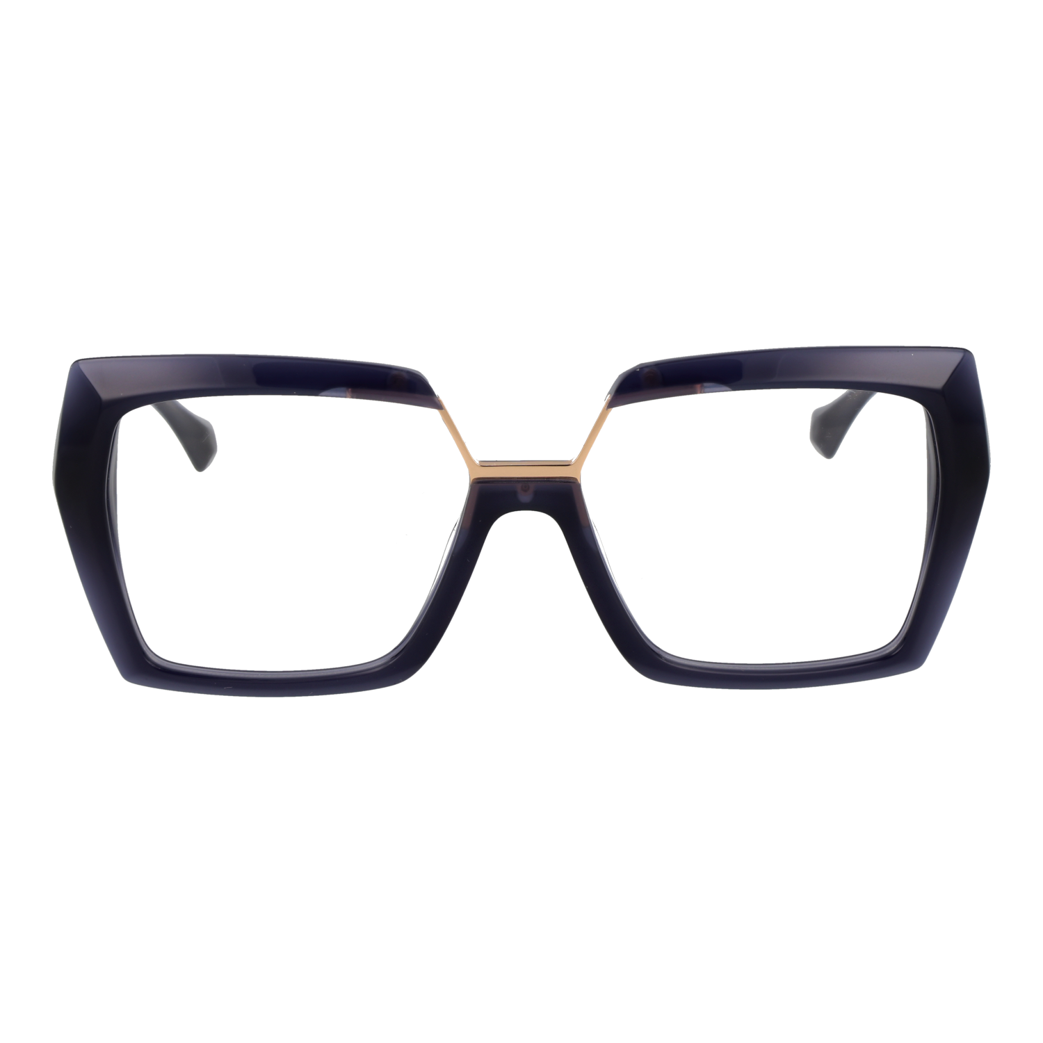 Ana Hickmann AH6593 55T01 front view – Acetate frame