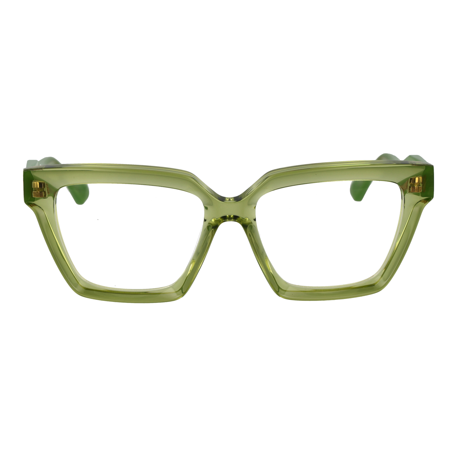 Ana Hickmann AH6596 53T01 front view – Acetate frame