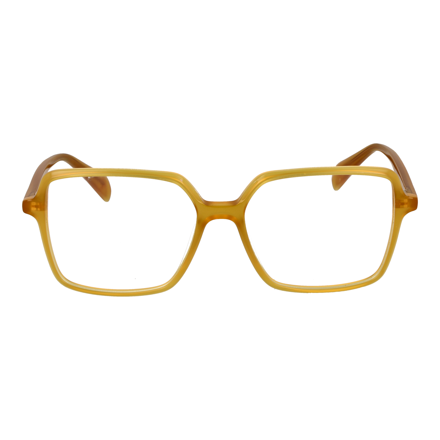 Ana Hickmann AH6613 54T01 front view – Acetate frame