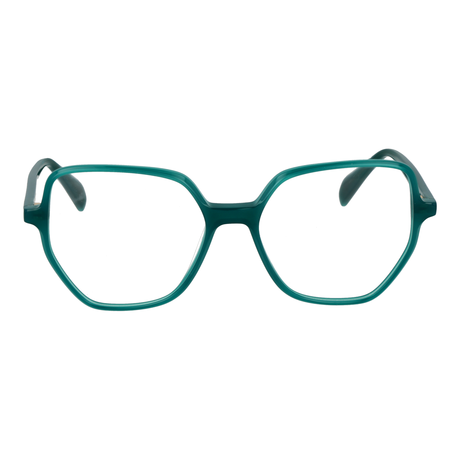 Ana Hickmann AH6614 53T01 front view – Acetate frame
