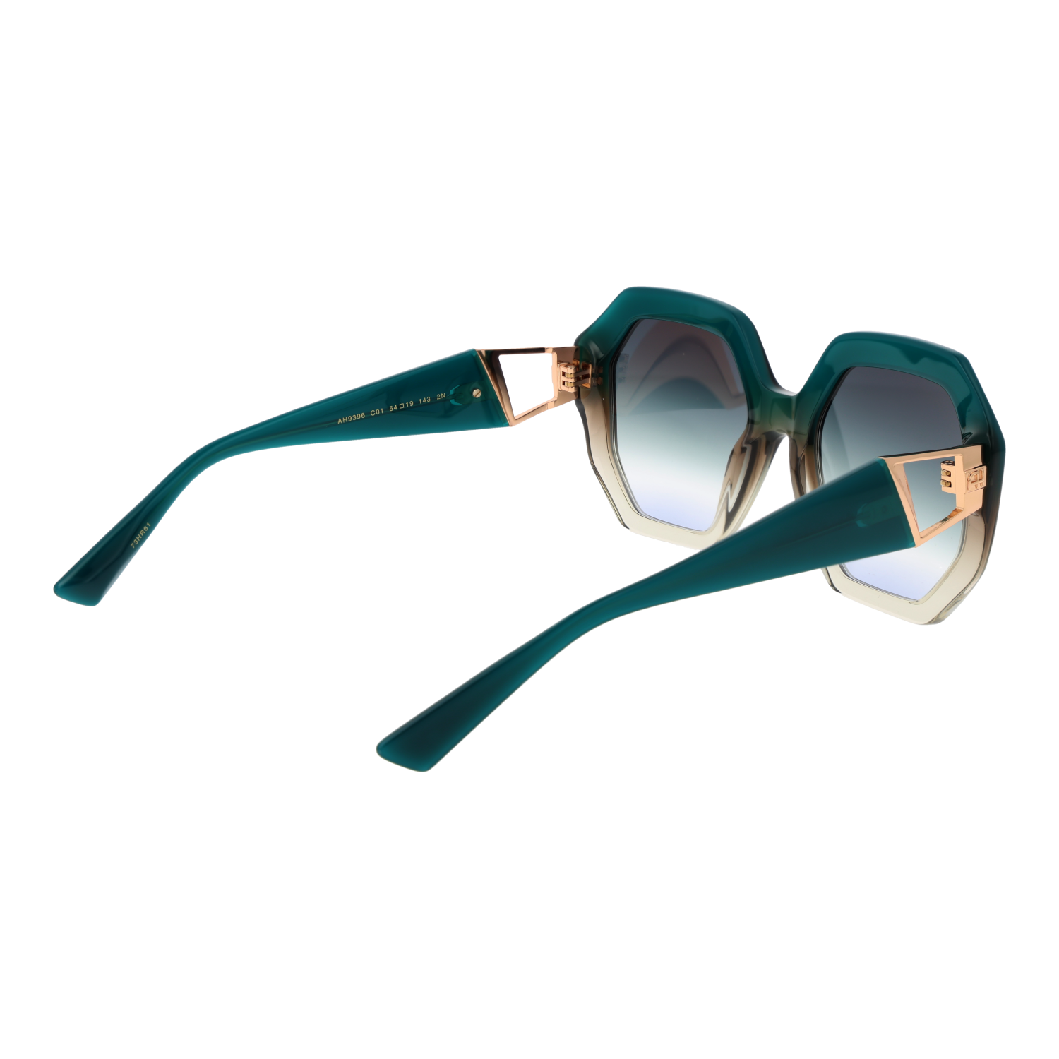 Ana Hickmann AH9396 54C01 rear view – Acetate frame