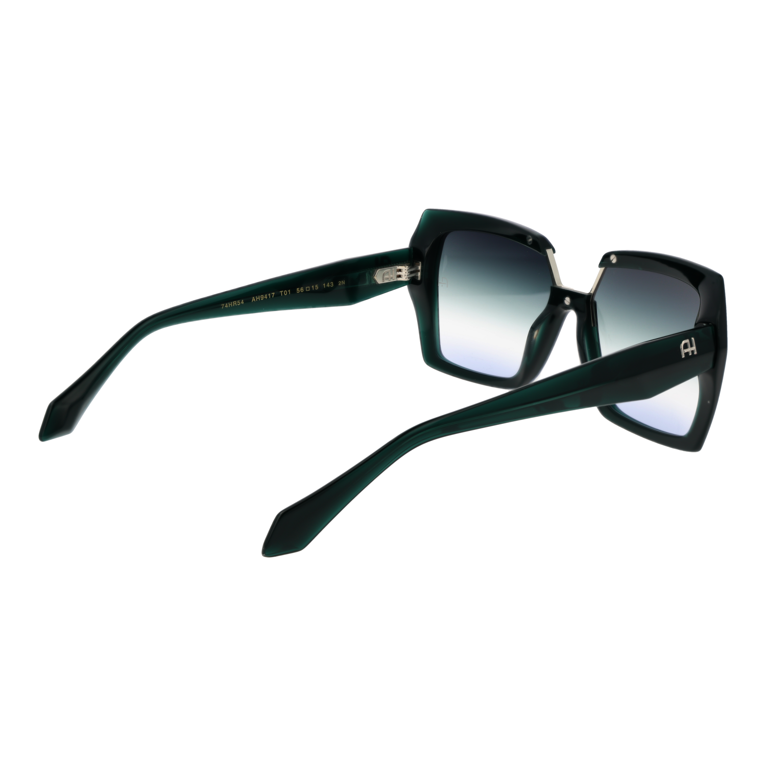 Ana Hickmann AH9417 56T01 rear view – Acetate frame