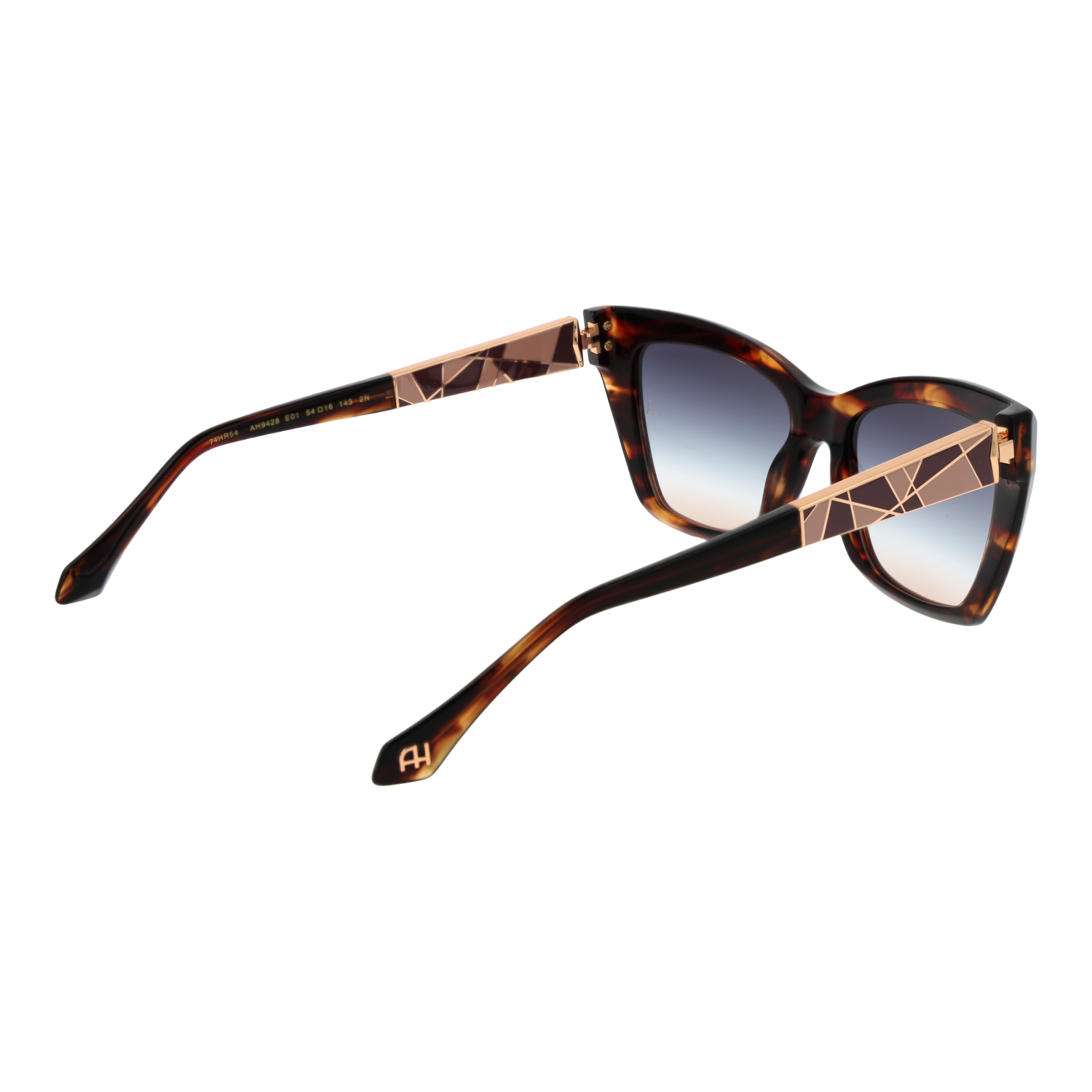 Ana Hickmann AH9428 54E01 rear view – Acetate frame