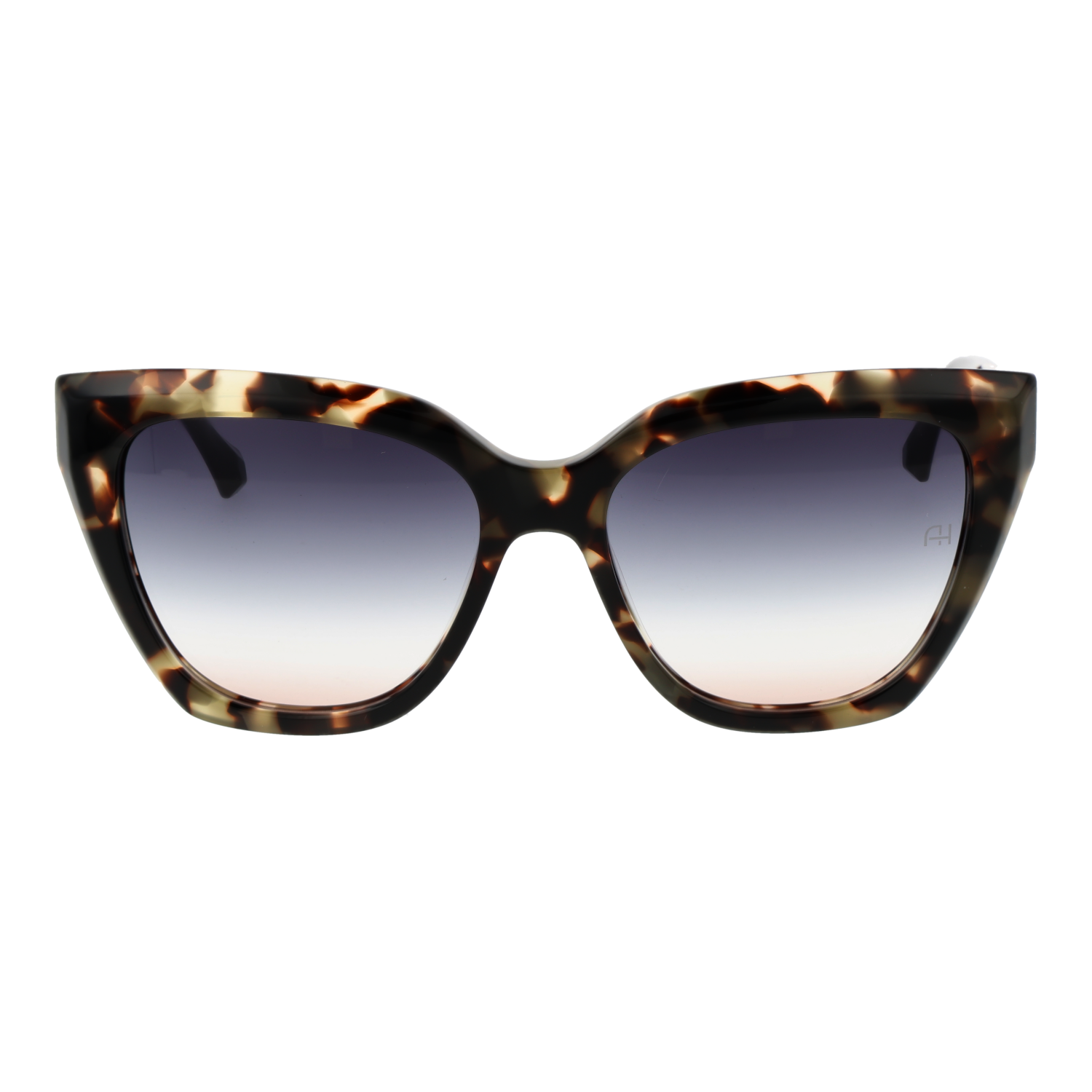 Ana Hickmann AH9430 55G21 front view with Grey lenses