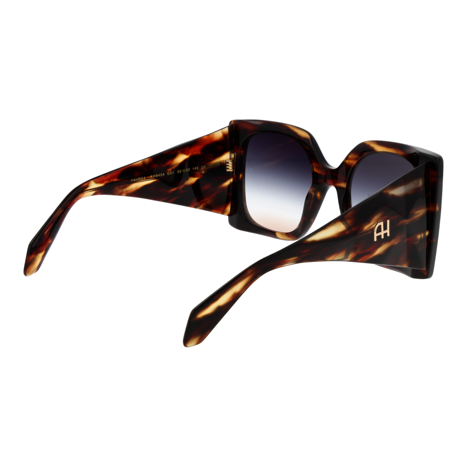 Ana Hickmann AH9434 55E01 rear view – Acetate frame