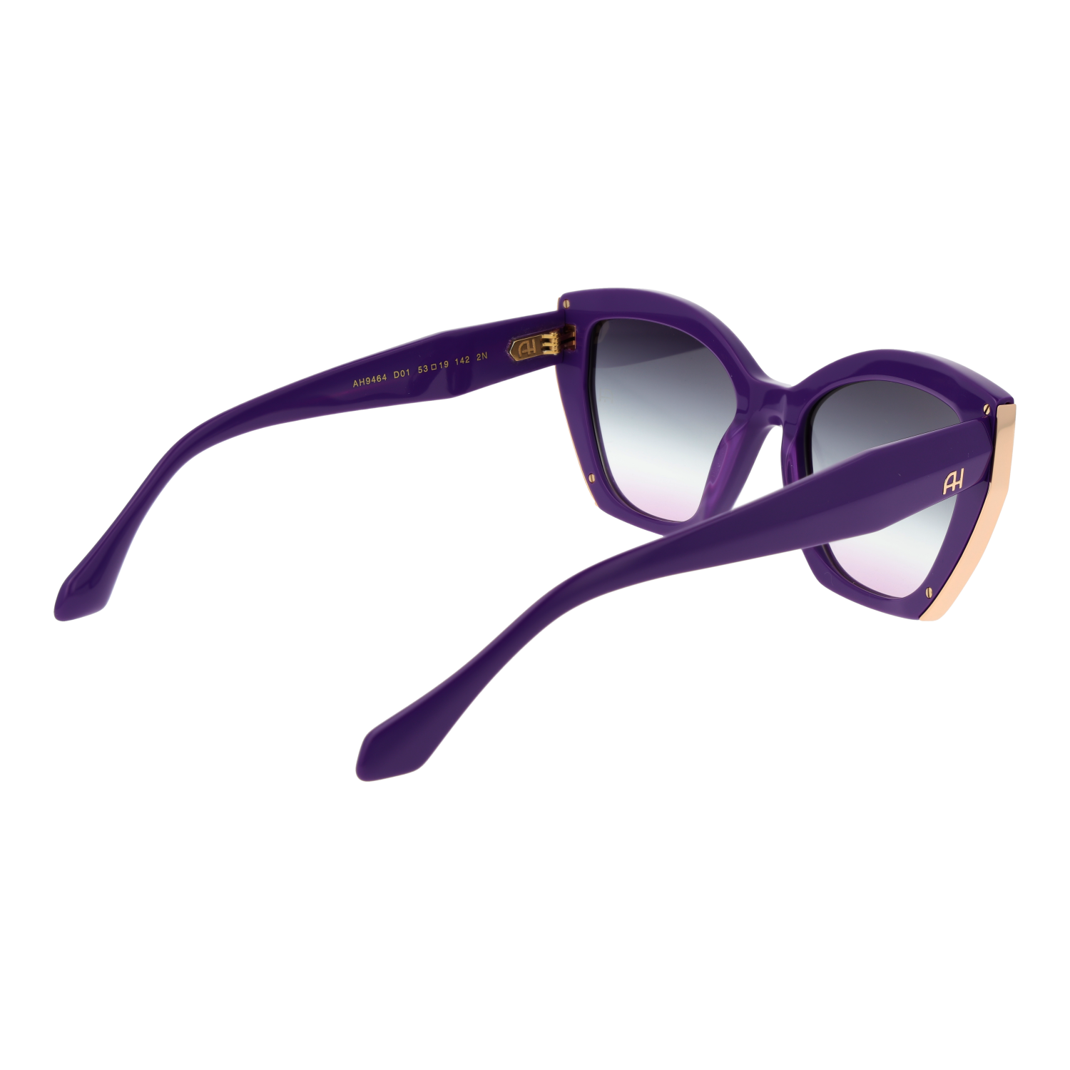 Ana Hickmann AH9464 53D01 rear view – Acetate frame